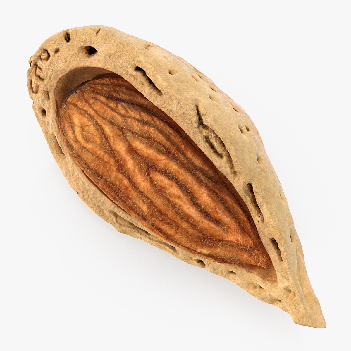 Broken Almond Shell with Almond