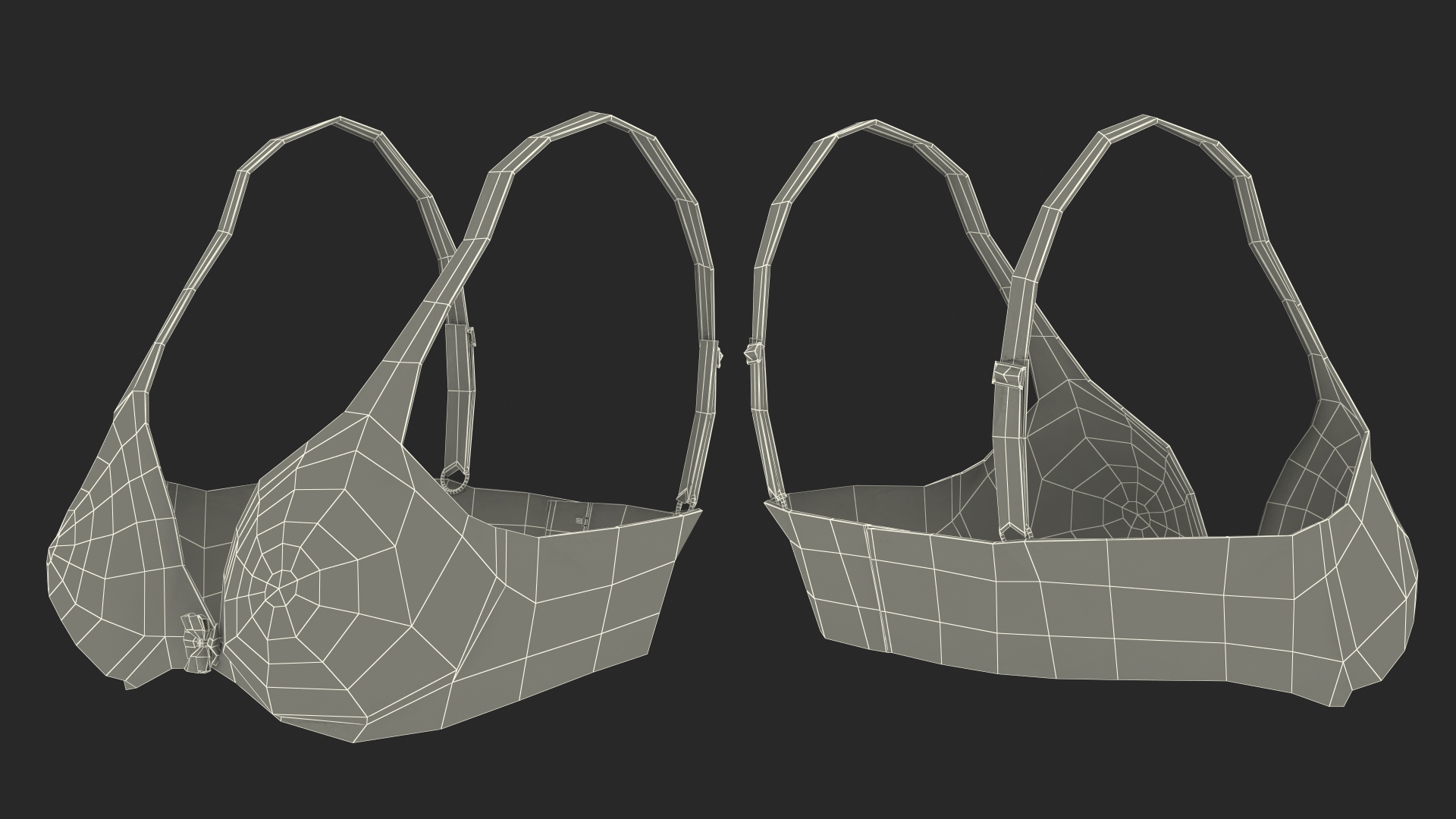 3D model Floral Lace Lingerie
