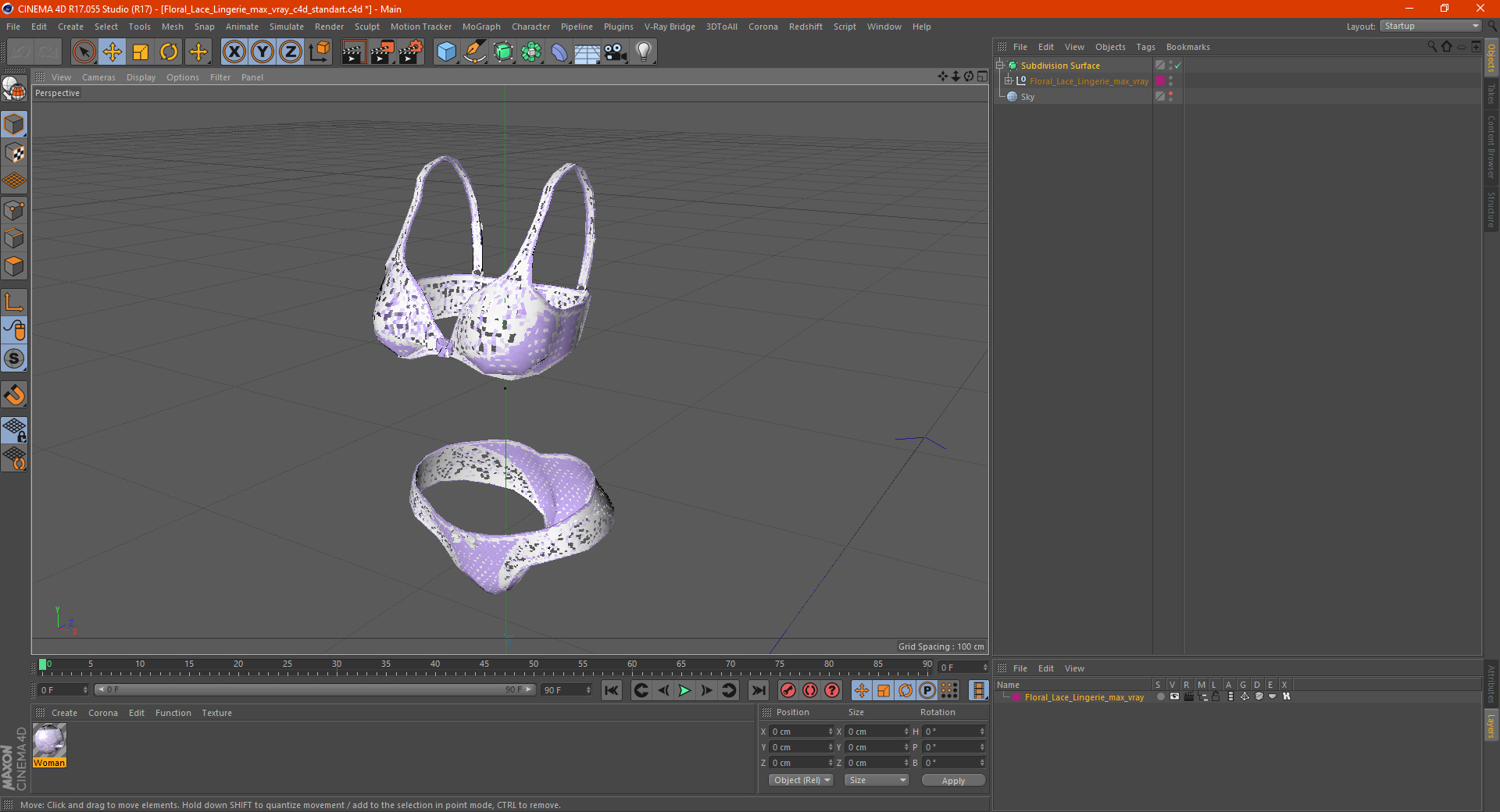 3D model Floral Lace Lingerie