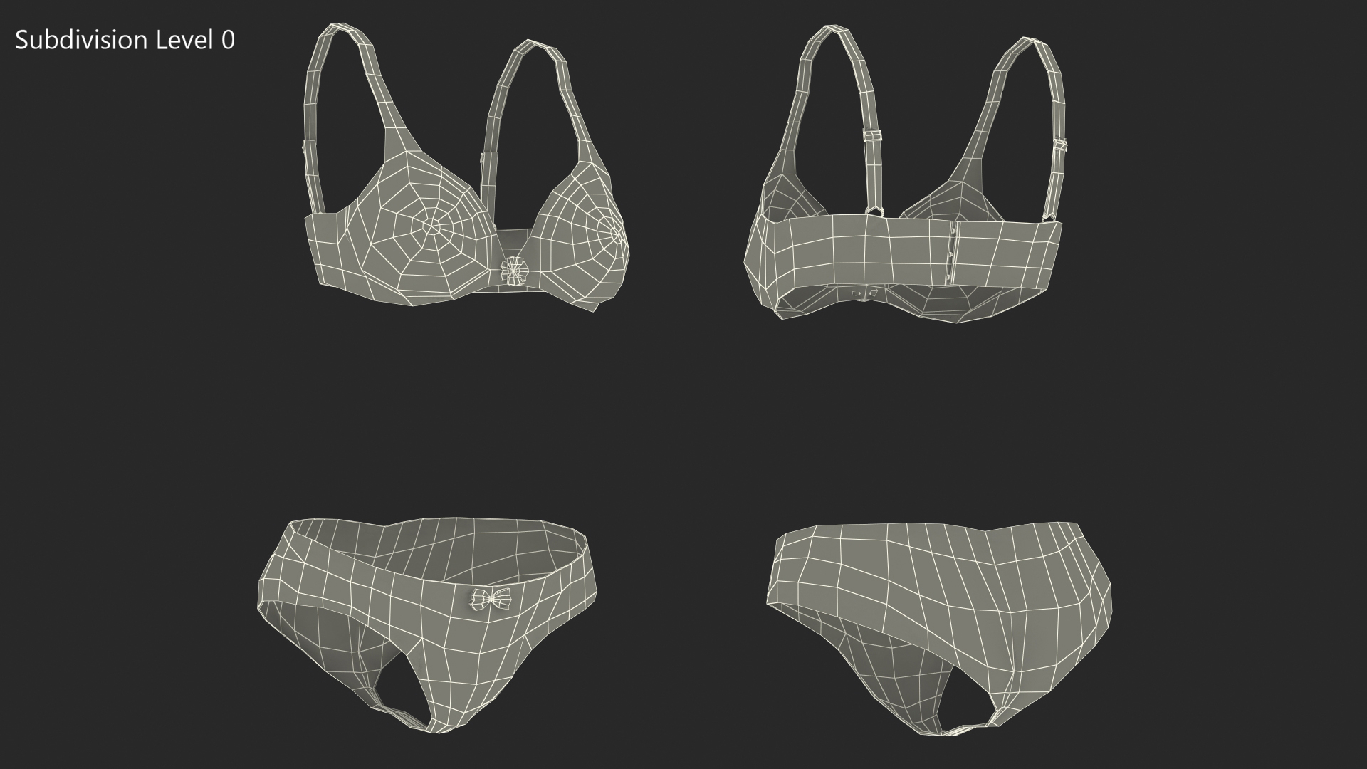 3D model Floral Lace Lingerie