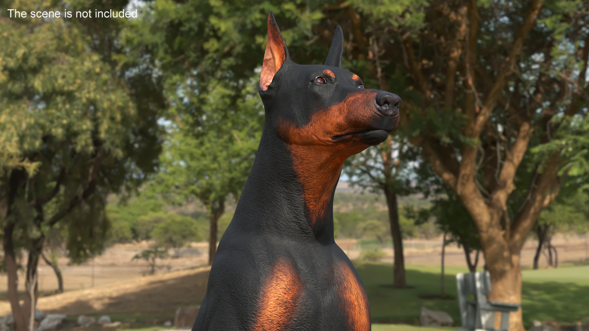 3D Doberman Pinscher Dog Sits
