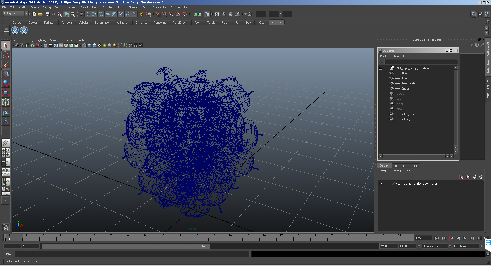 3D model Not Ripe Berry Blackberry