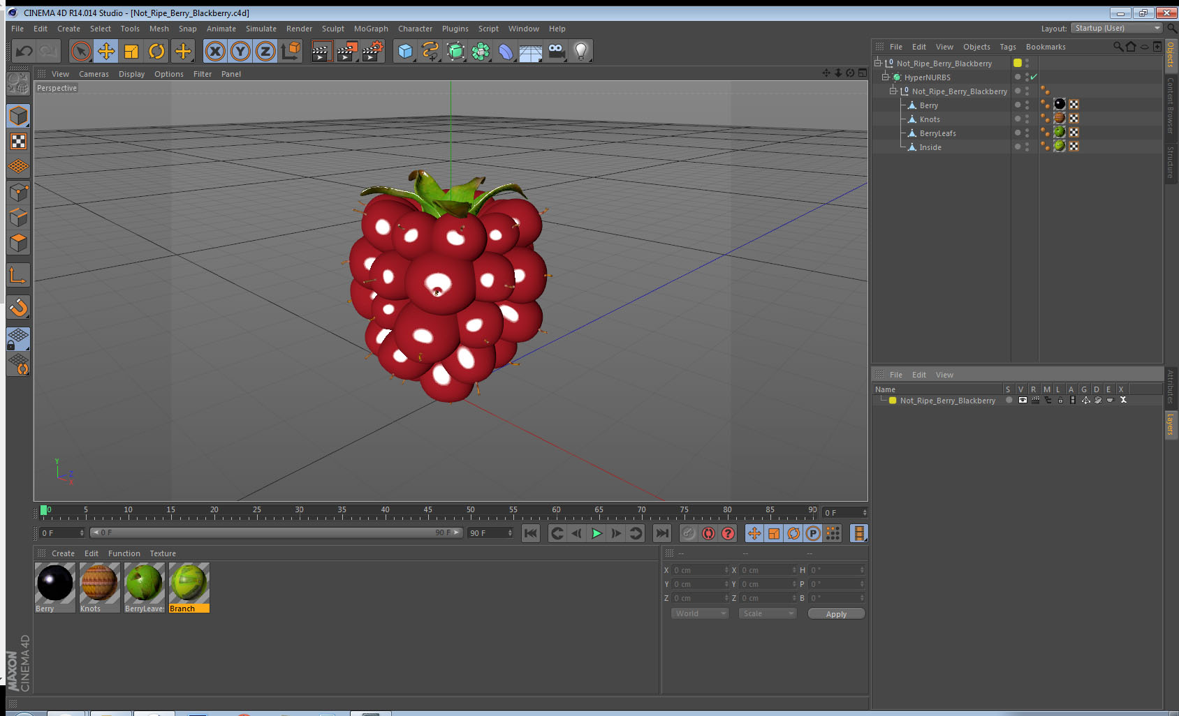 3D model Not Ripe Berry Blackberry