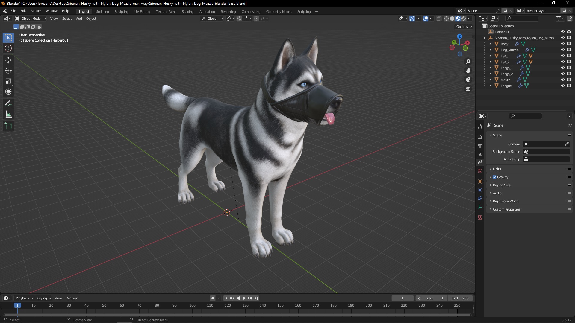3D Siberian Husky with Nylon Dog Muzzle