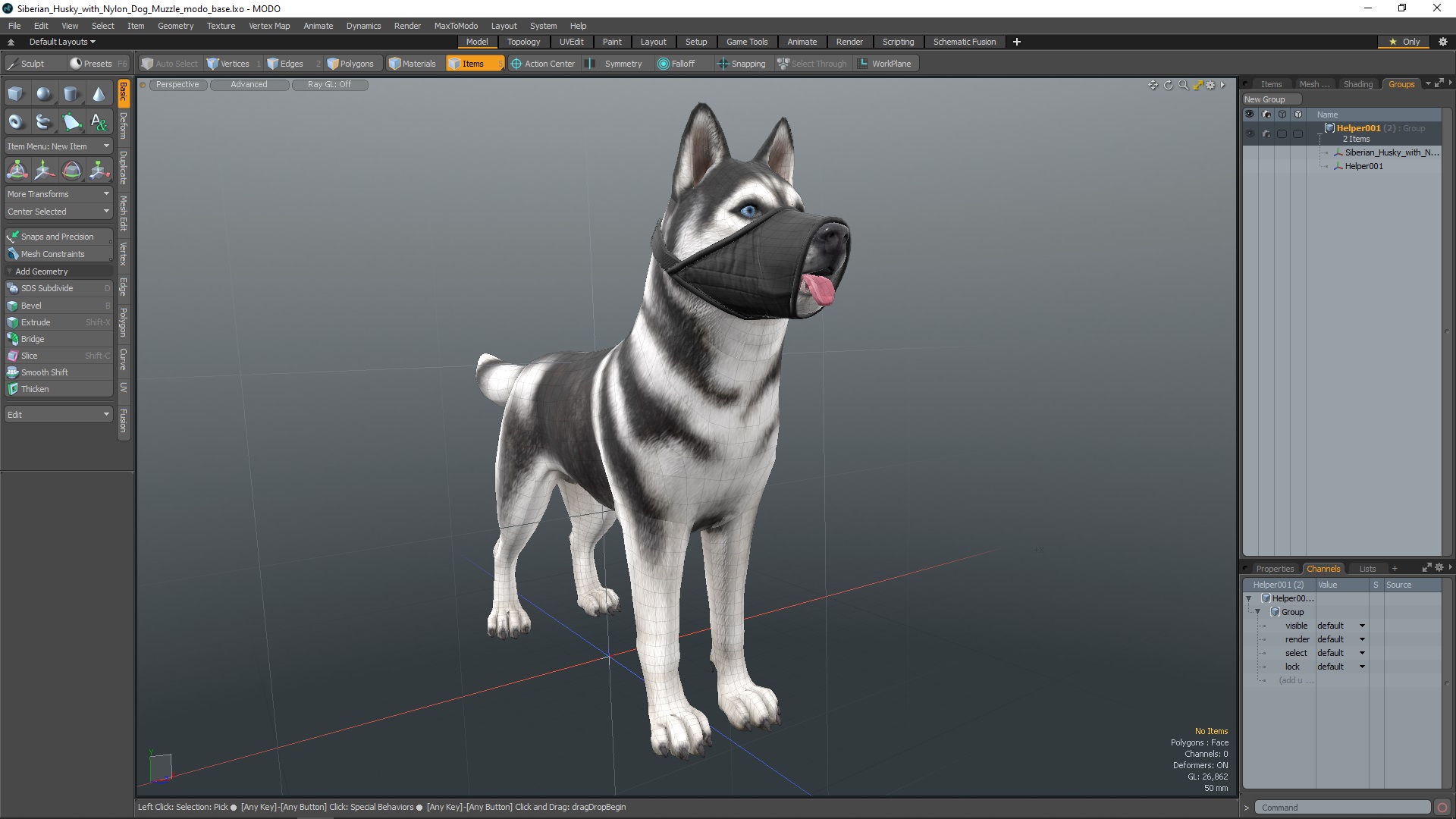 3D Siberian Husky with Nylon Dog Muzzle