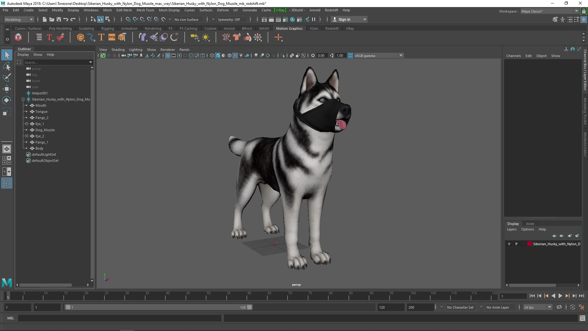 3D Siberian Husky with Nylon Dog Muzzle
