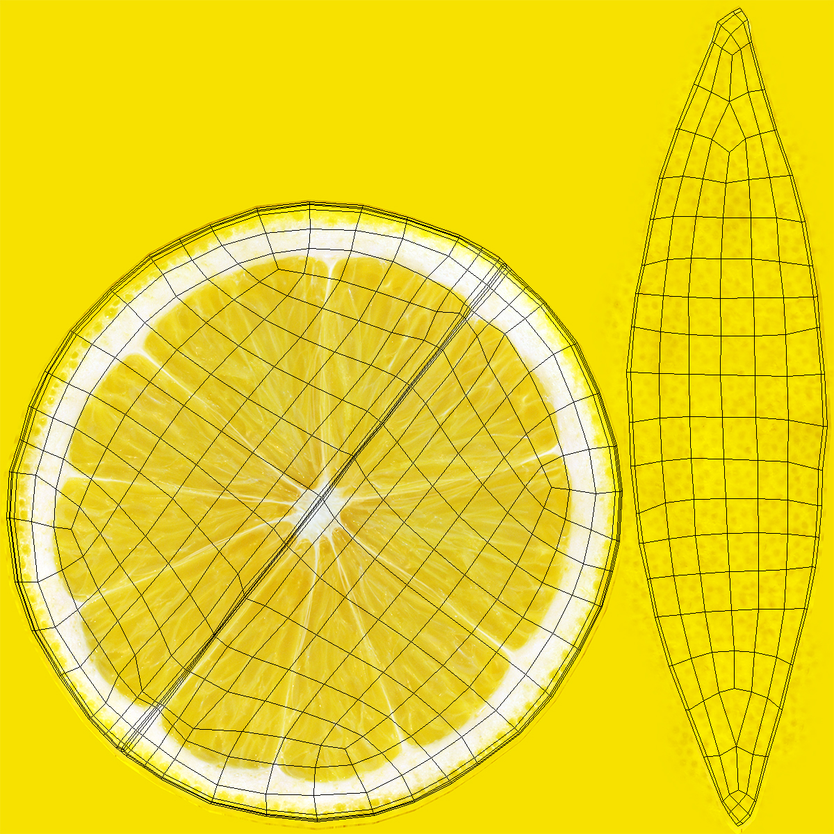 3D Lemon Slice