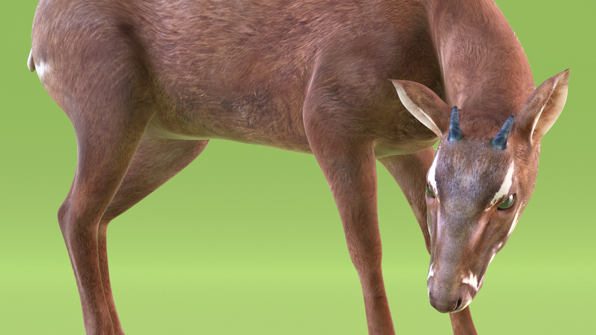 Saola Eating 3D