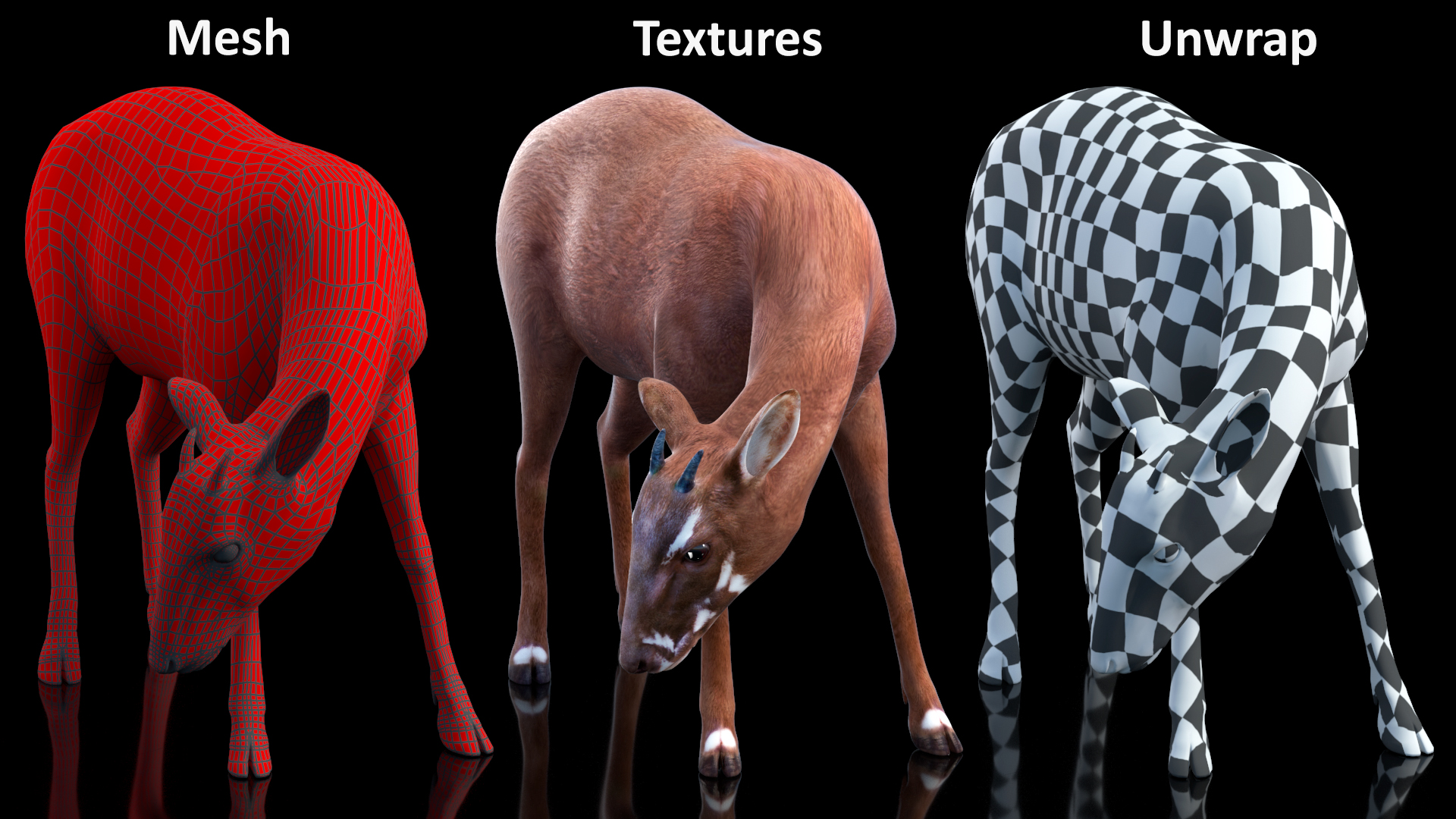 Saola Eating 3D