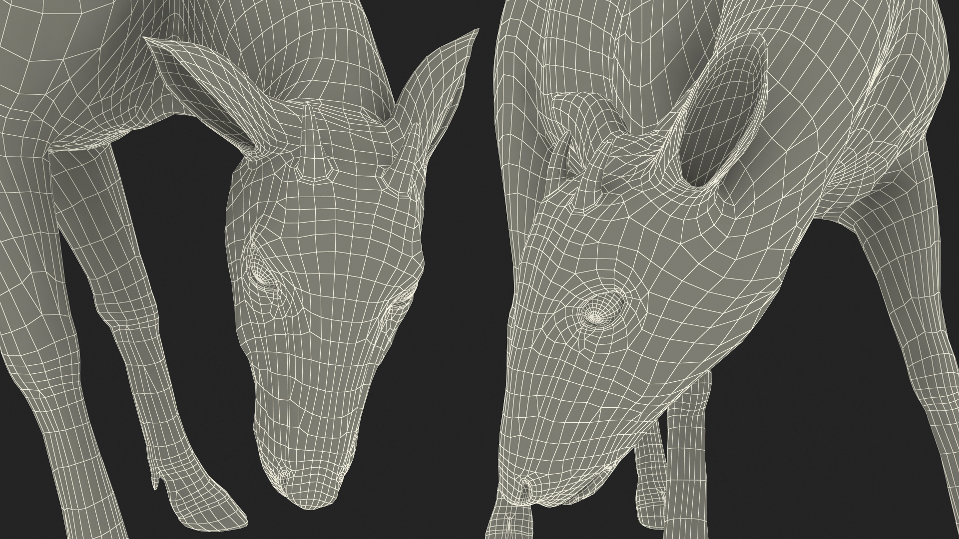 Saola Eating 3D