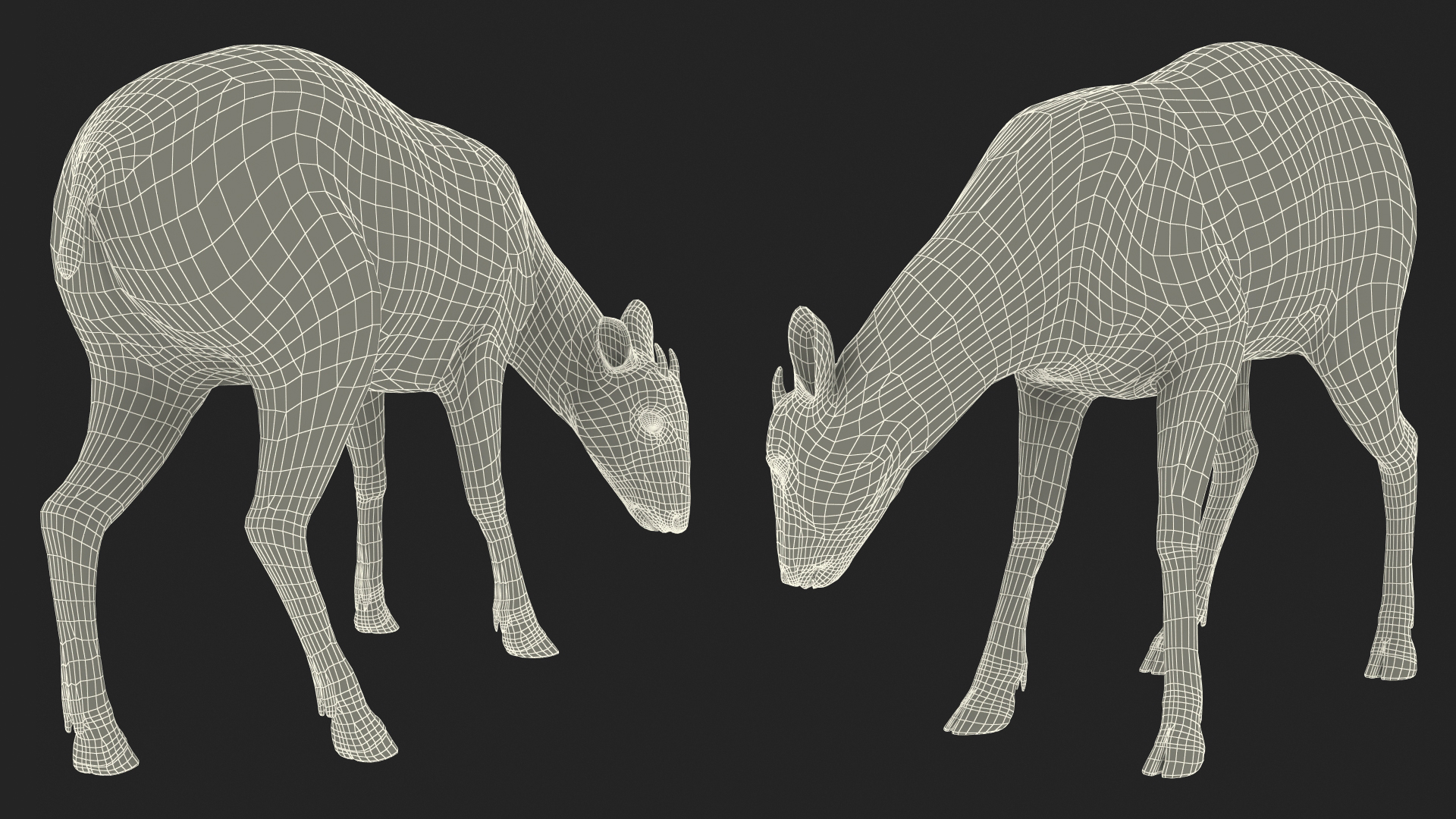 Saola Eating 3D