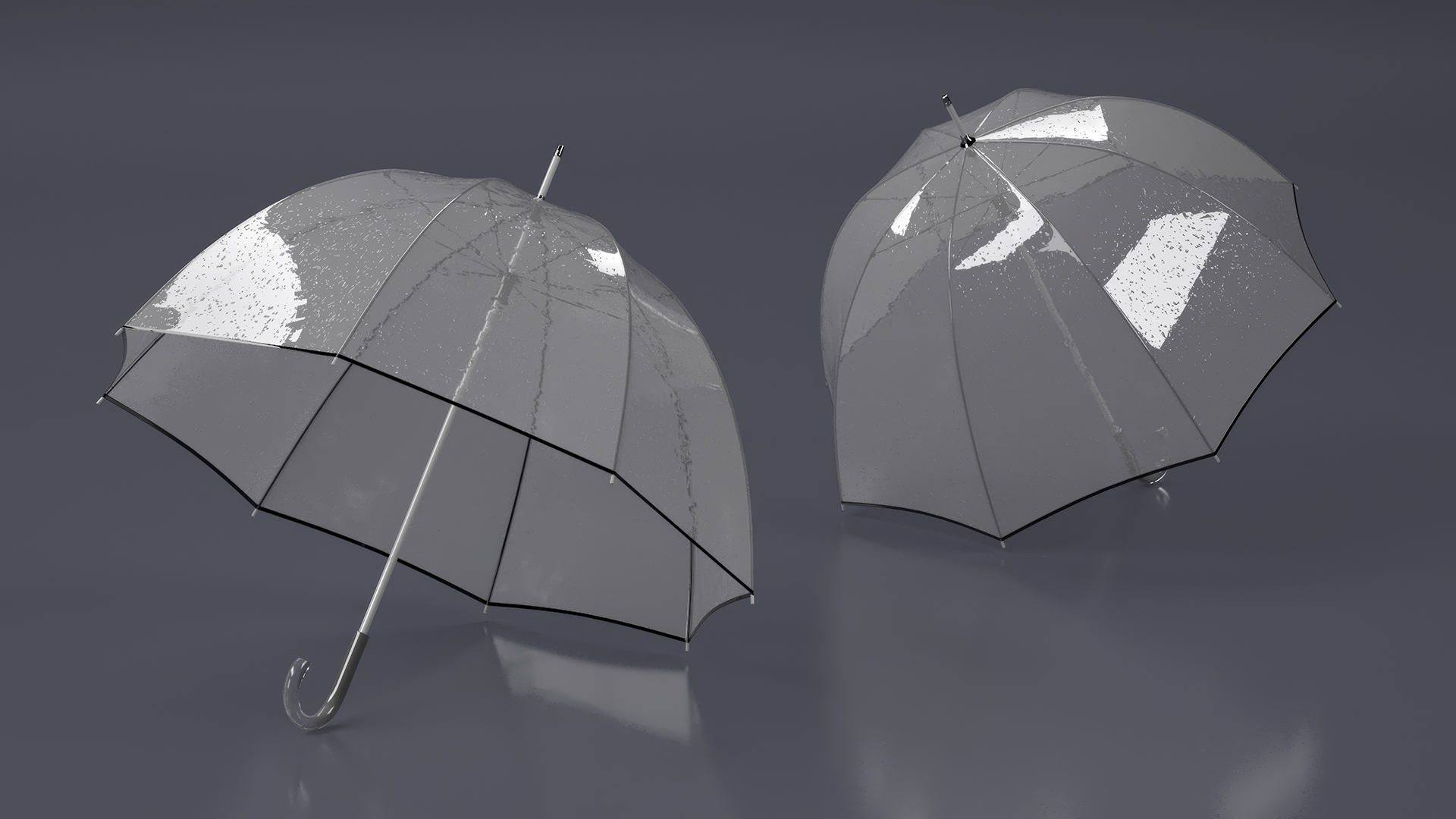Bubble Umbrella Wet 3D model