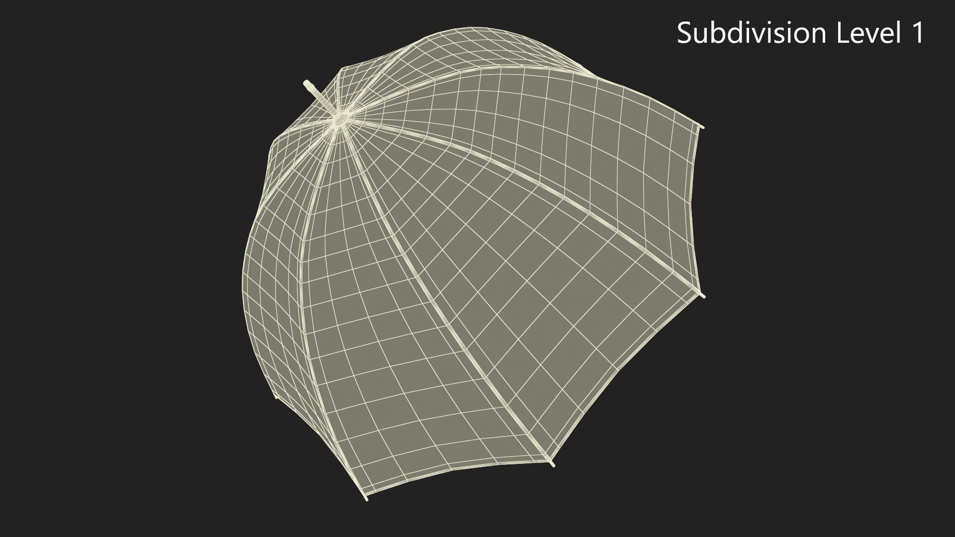 Bubble Umbrella Wet 3D model