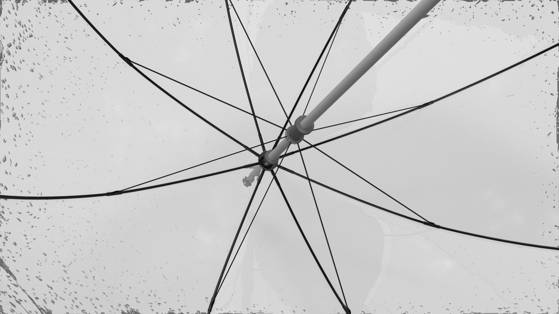 Bubble Umbrella Wet 3D model