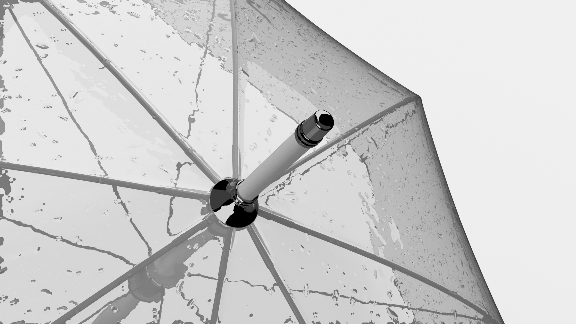 Bubble Umbrella Wet 3D model