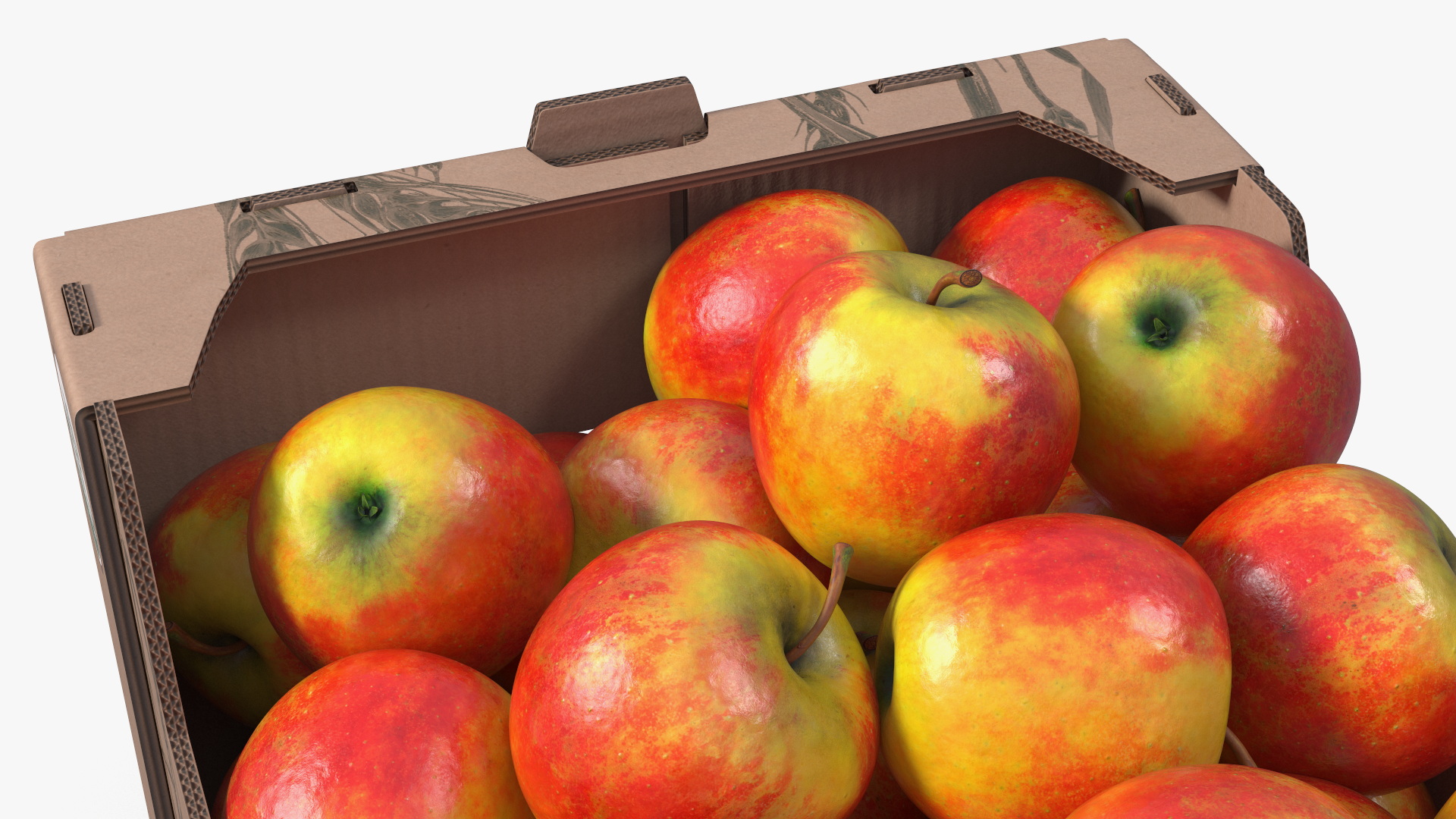 USDA Organic Apple Harvest Box, view 7