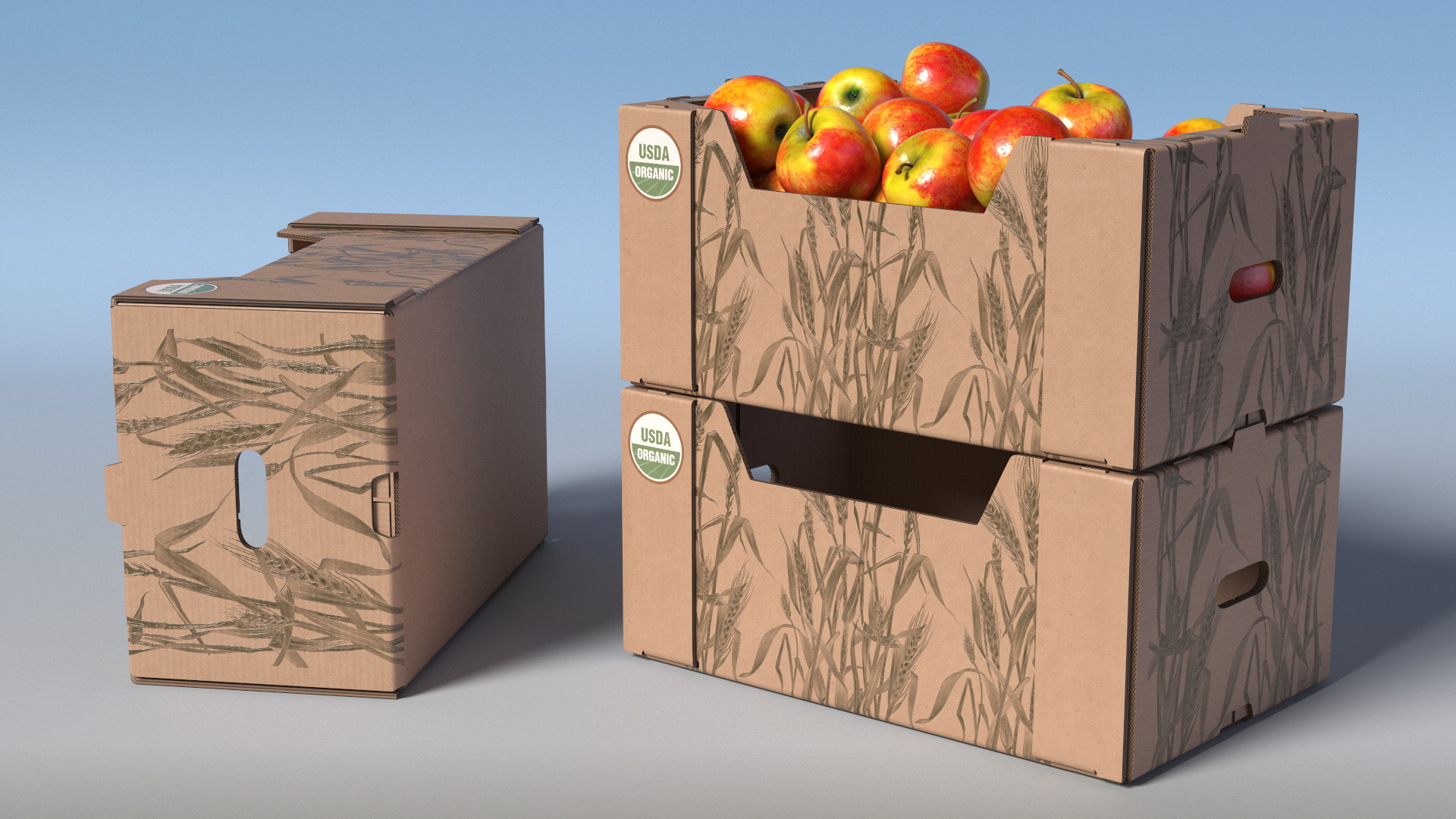 USDA Organic Apple Harvest Box, view 3