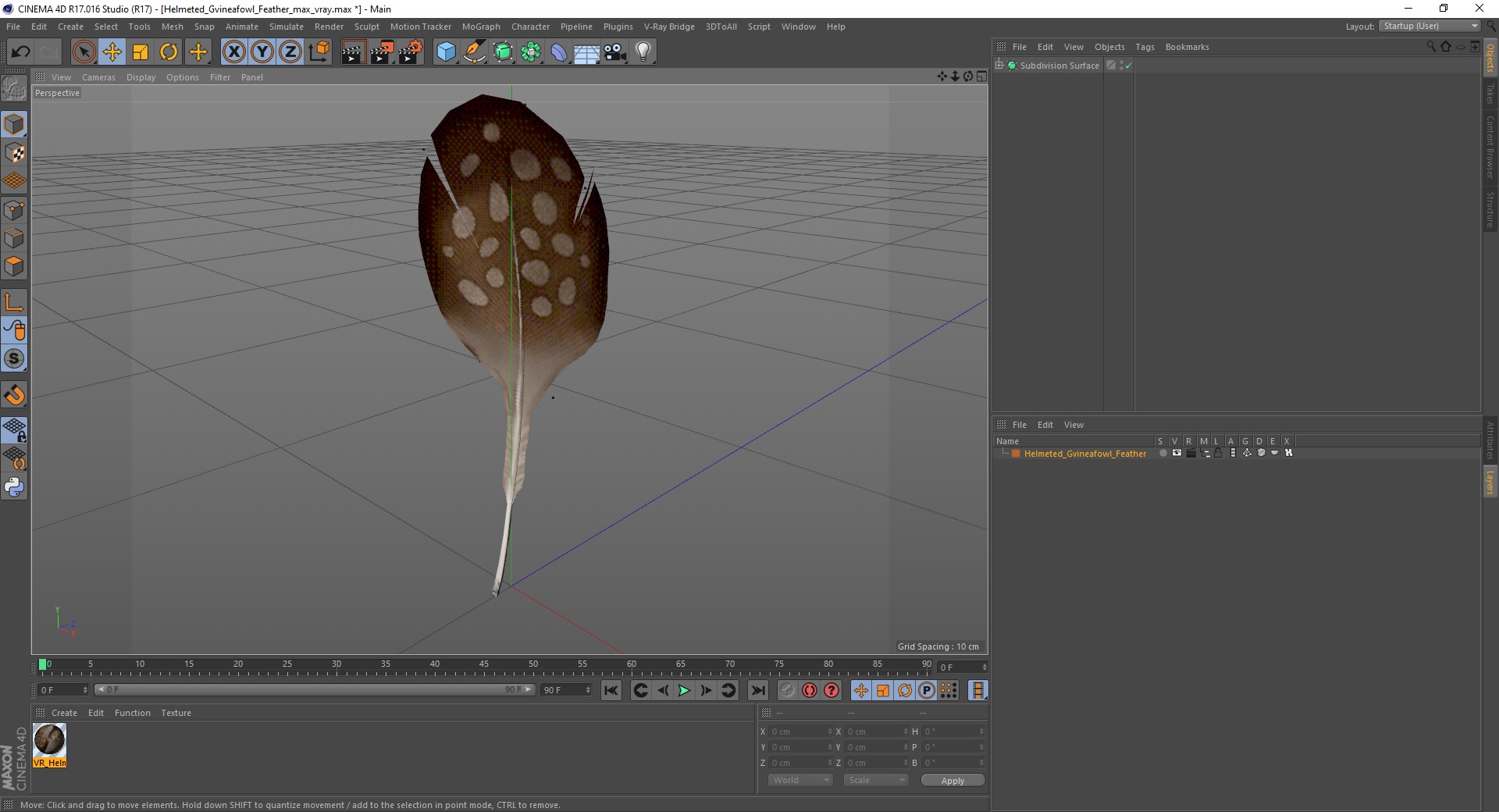 Helmeted Gvineafowl Feather 3D