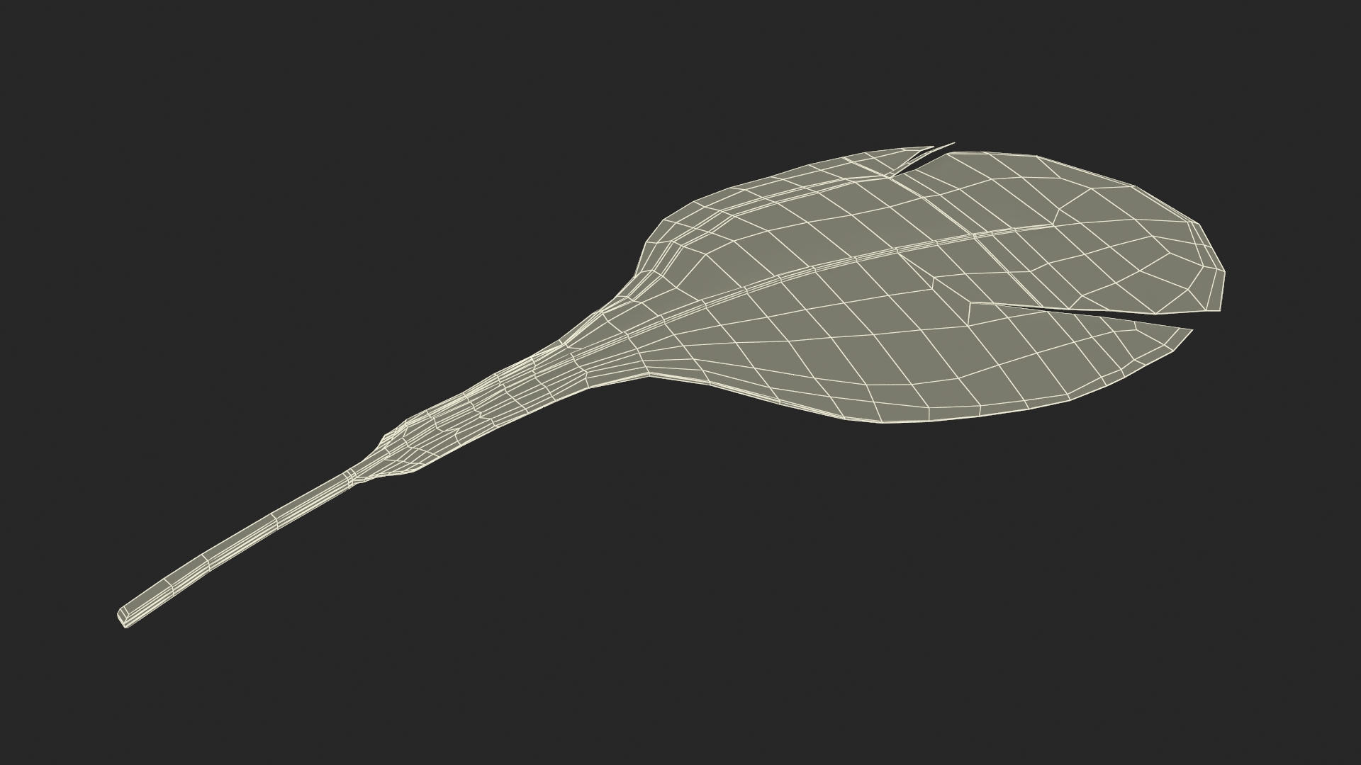 Helmeted Gvineafowl Feather 3D