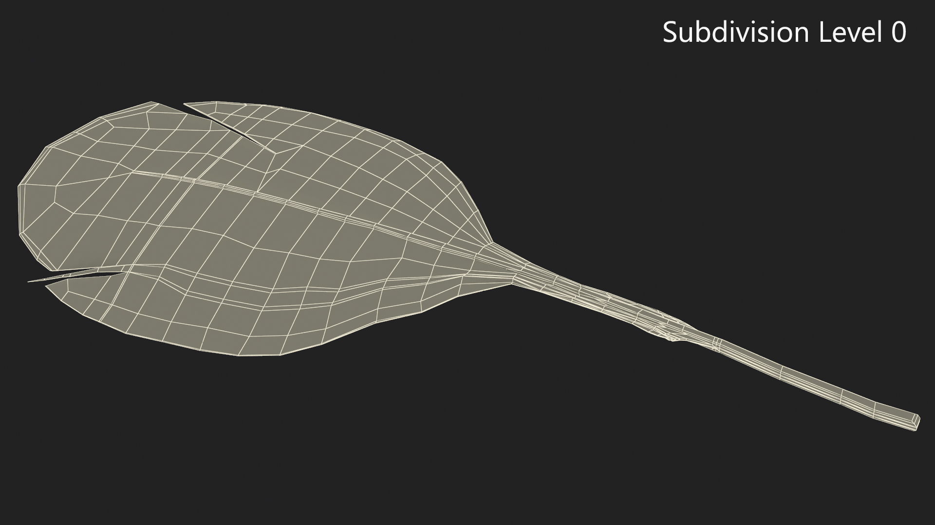 Helmeted Gvineafowl Feather 3D