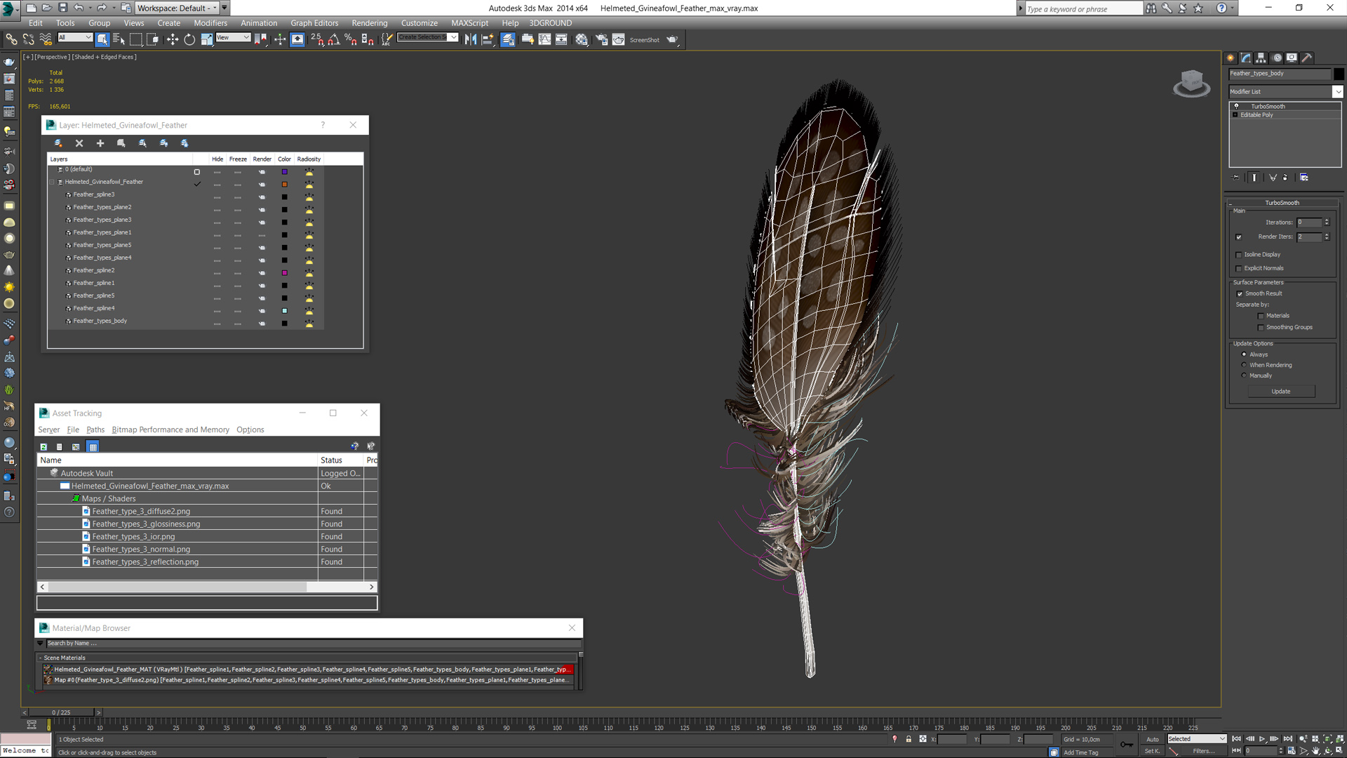 Helmeted Gvineafowl Feather 3D