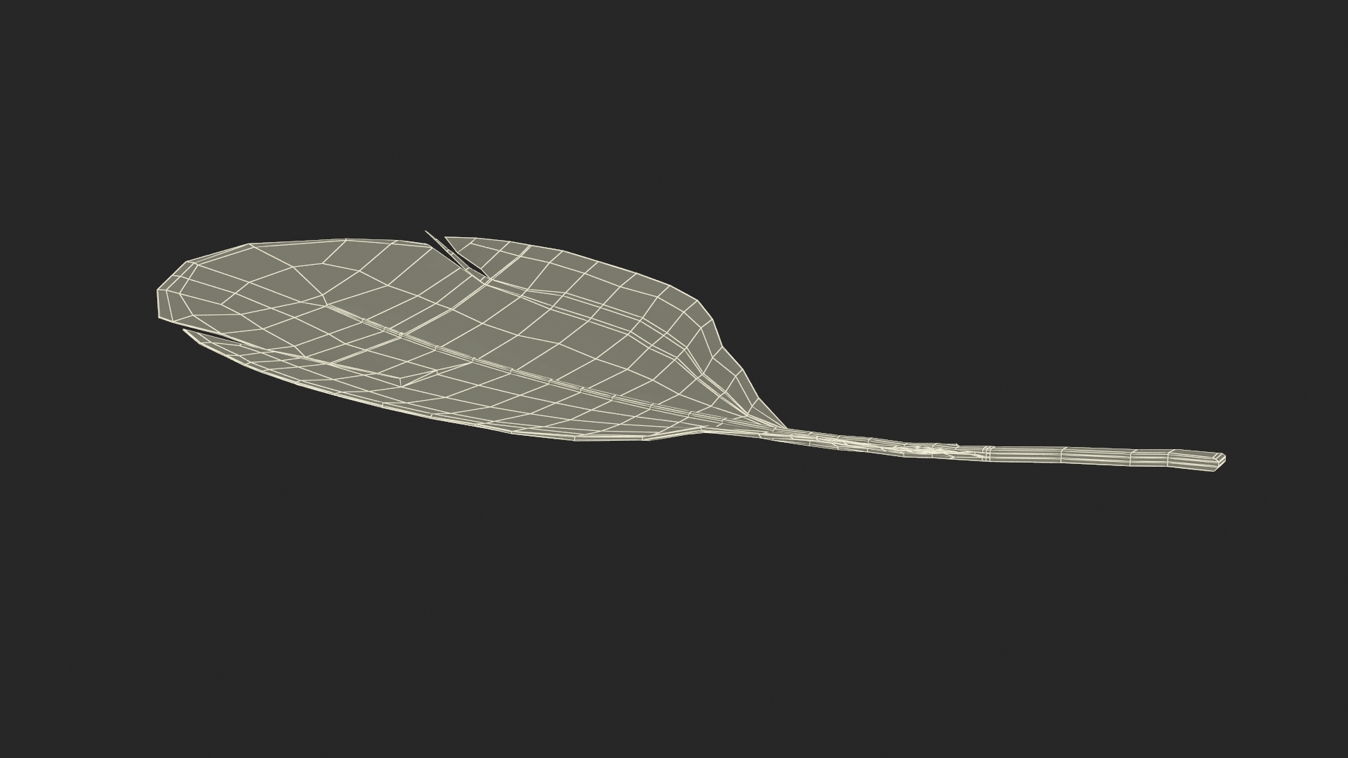 Helmeted Gvineafowl Feather 3D
