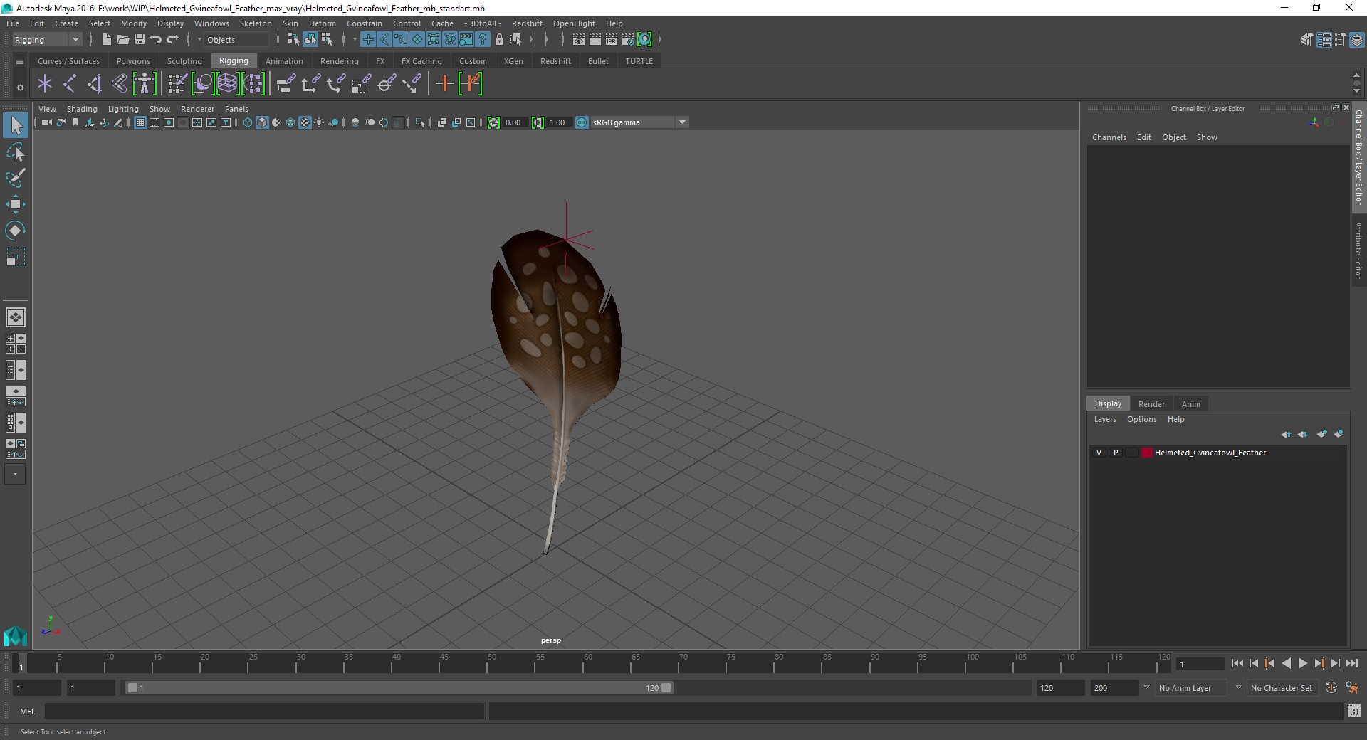 Helmeted Gvineafowl Feather 3D