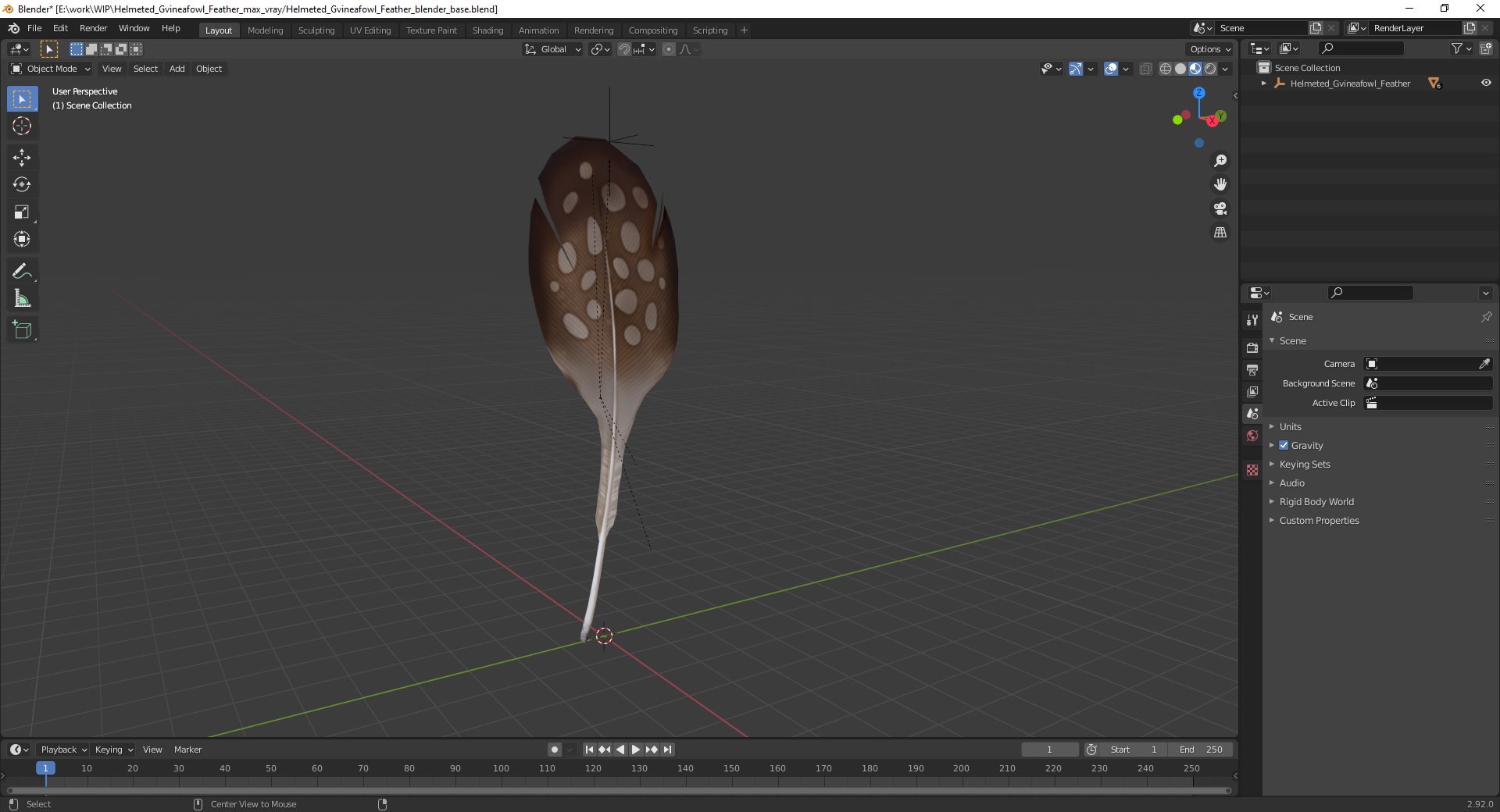 Helmeted Gvineafowl Feather 3D