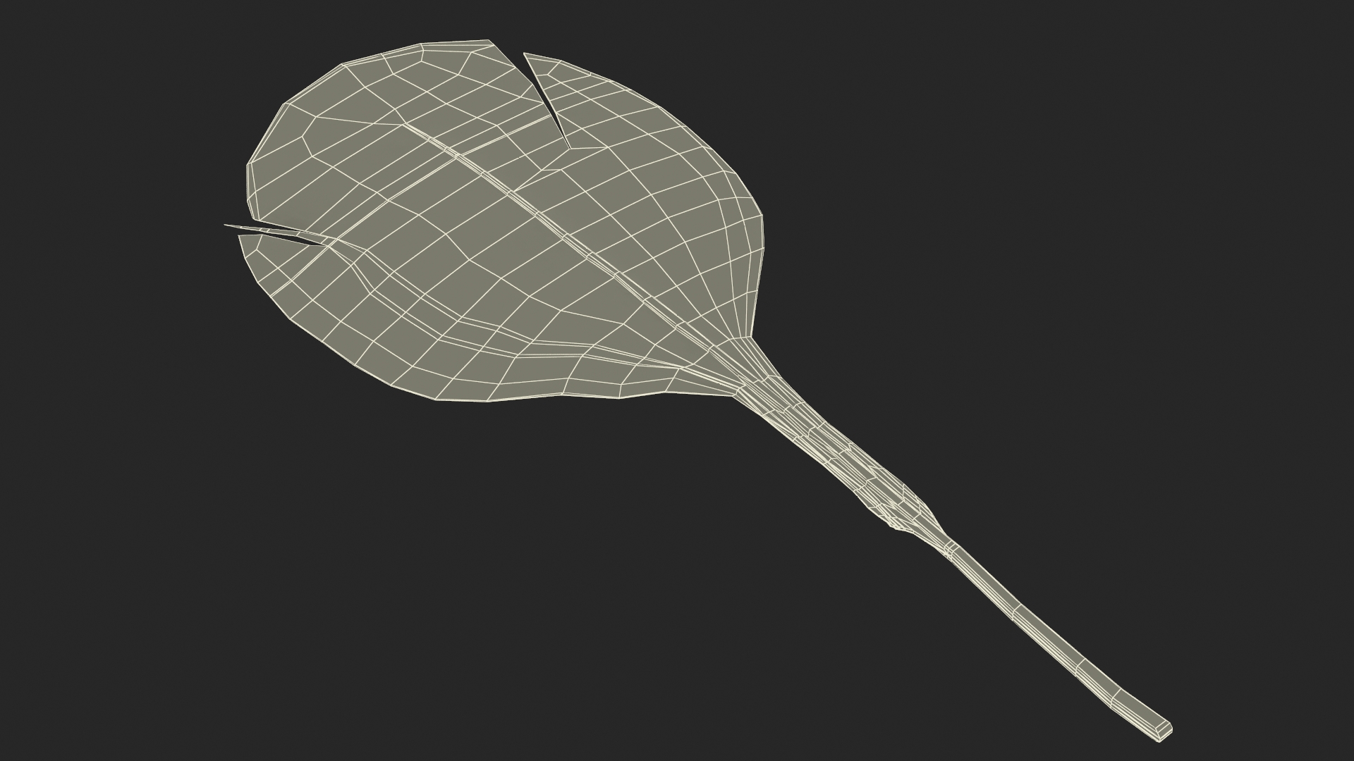 Helmeted Gvineafowl Feather 3D