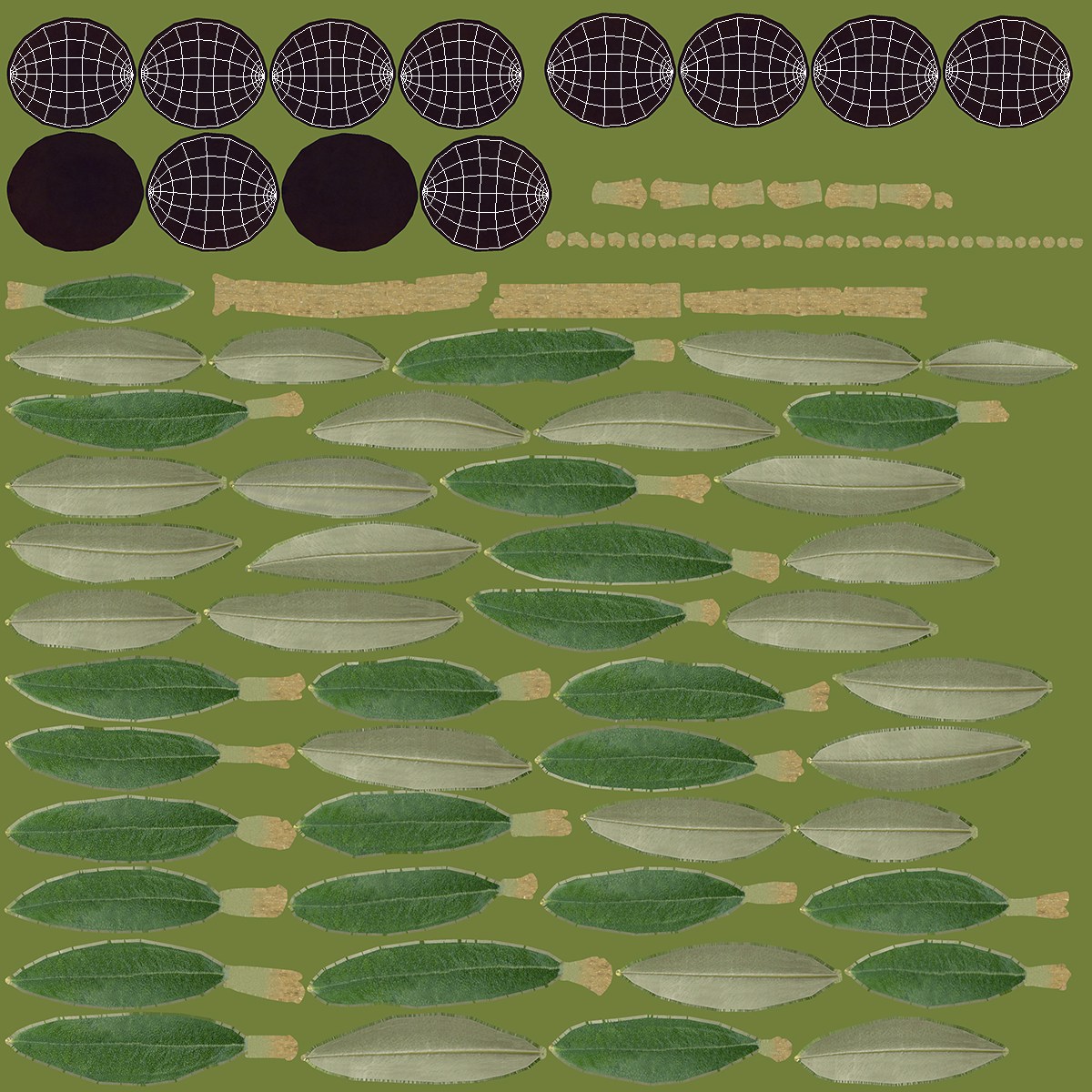 3D Bowl of Fresh Black Olives