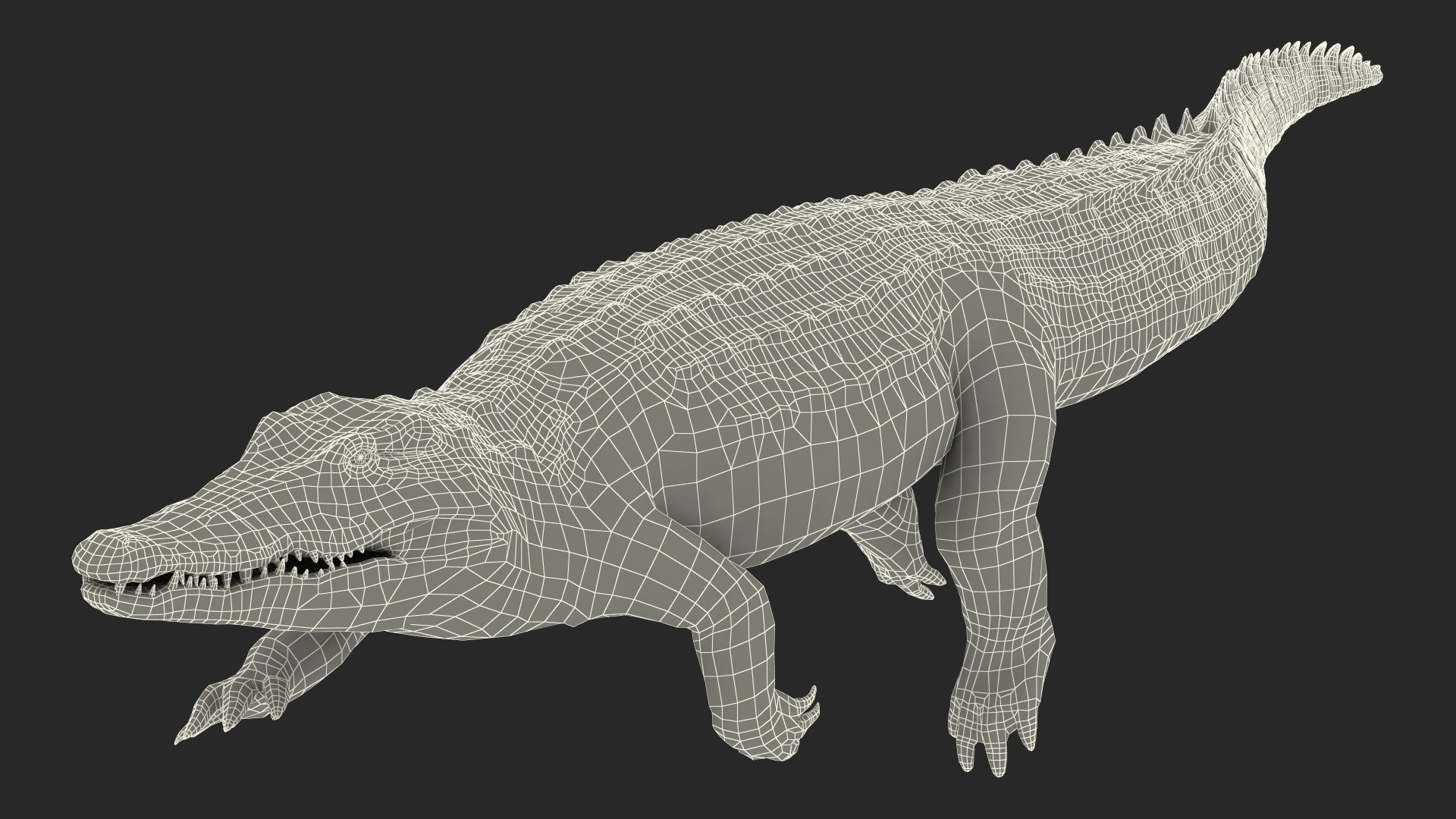 3D Animated Crocodile Swiming Rigged model