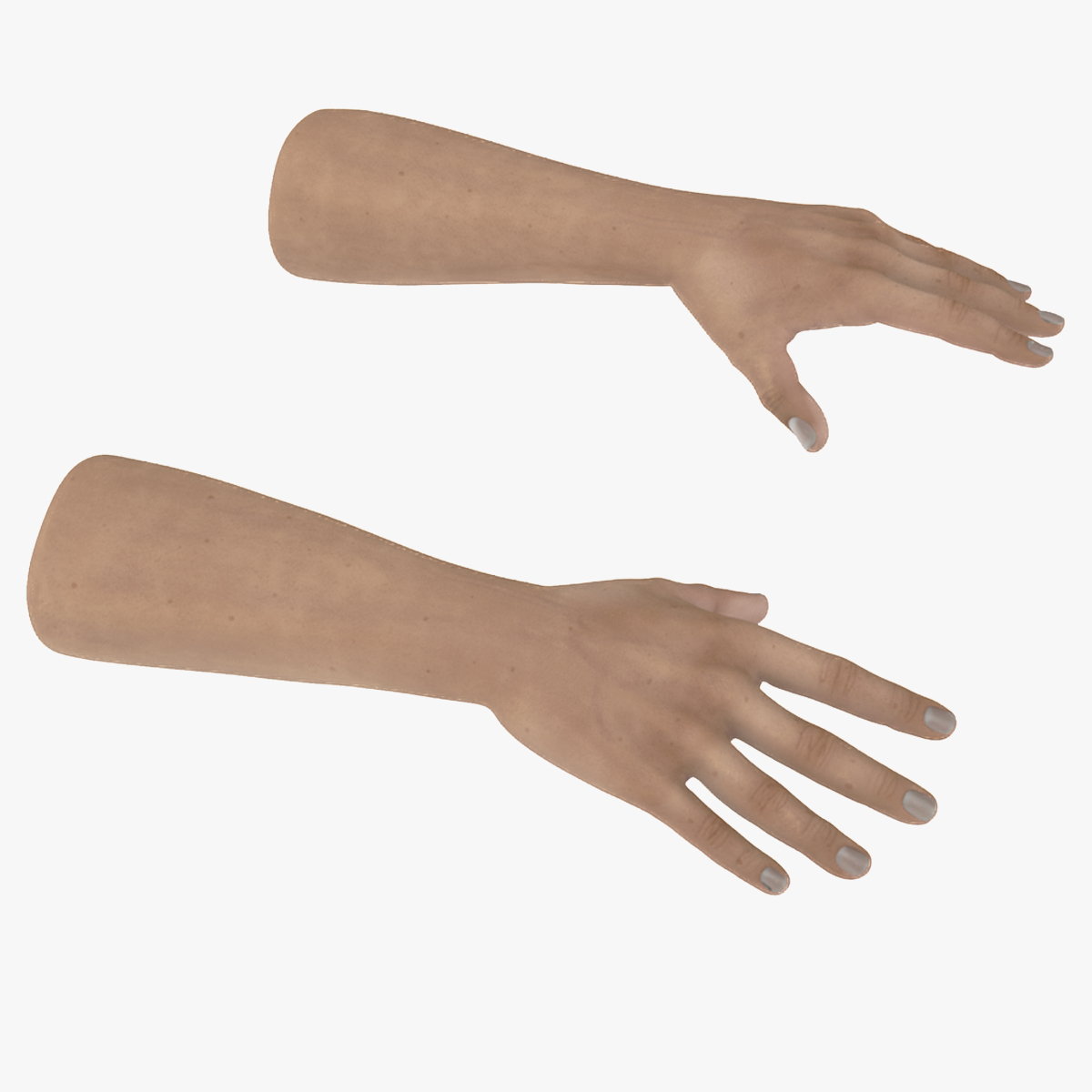 3D model Man Hands Rigged for Cinema 4D