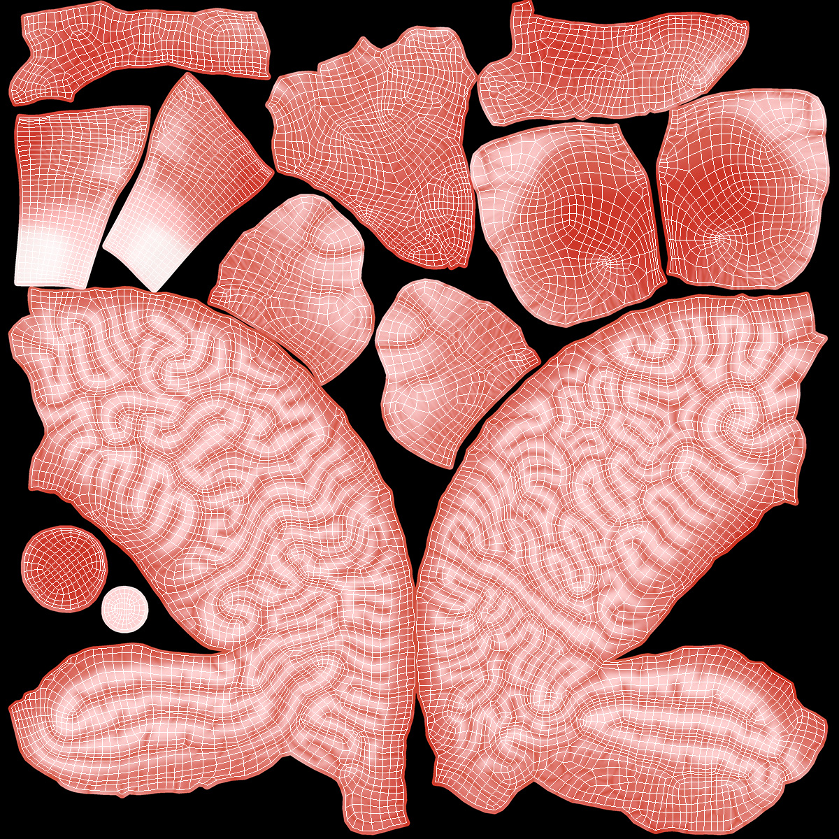 3D Human Brain Plastic Model with Light