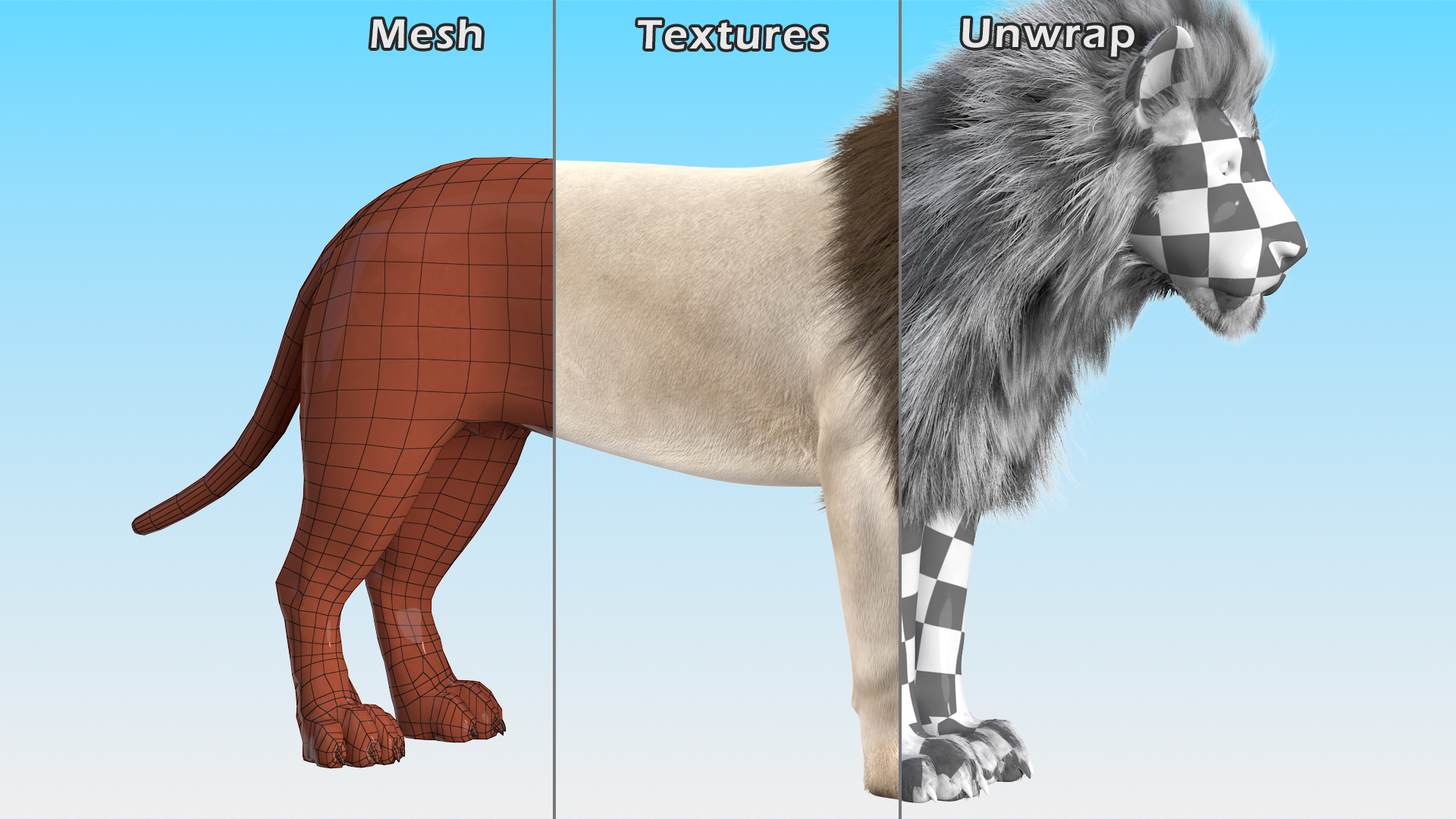 3D White Male Lion Fur Rigged