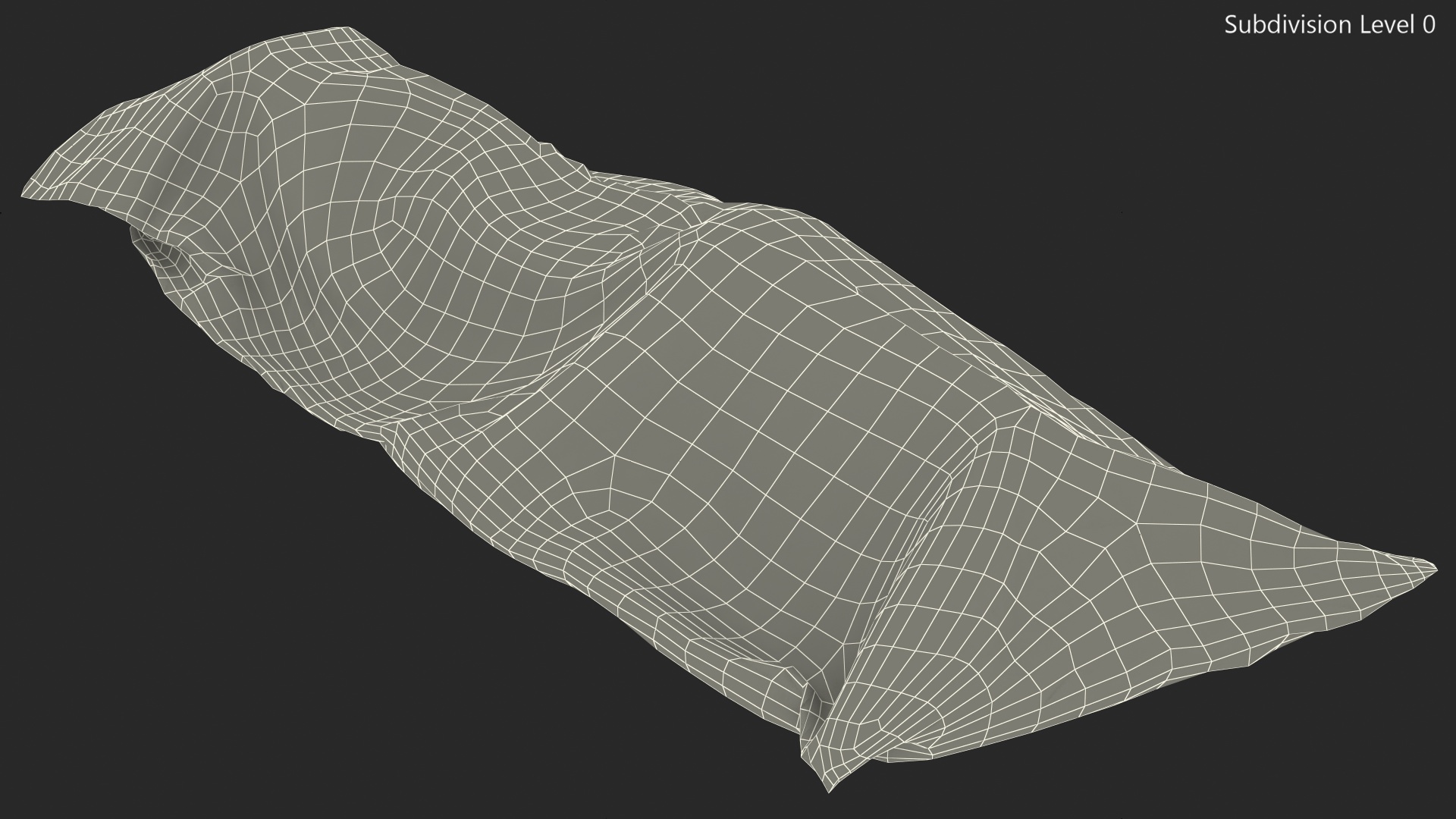 3D model Heavy Duty Human Remains Pouch
