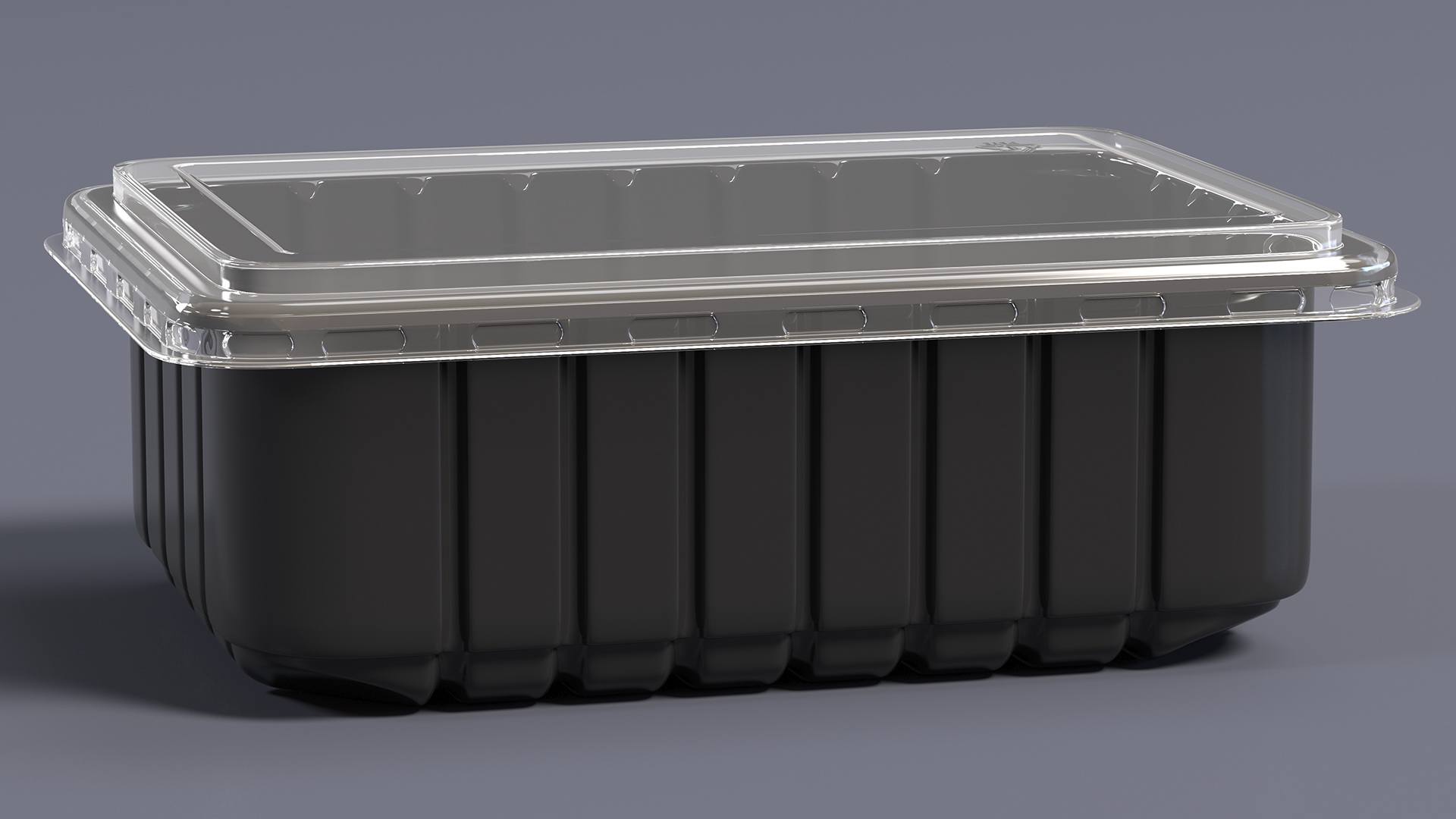 3D model Disposable Plastic Food Tray with Lid 21x15cm