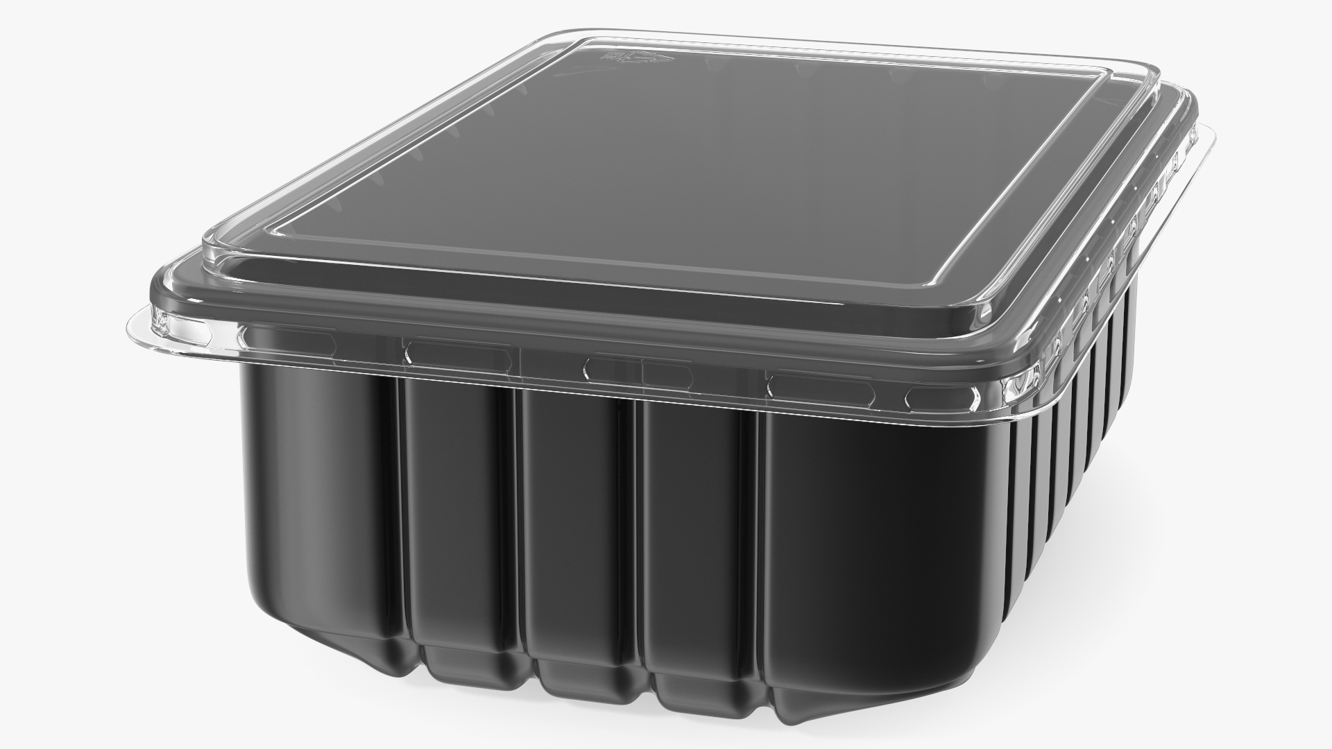 3D model Disposable Plastic Food Tray with Lid 21x15cm