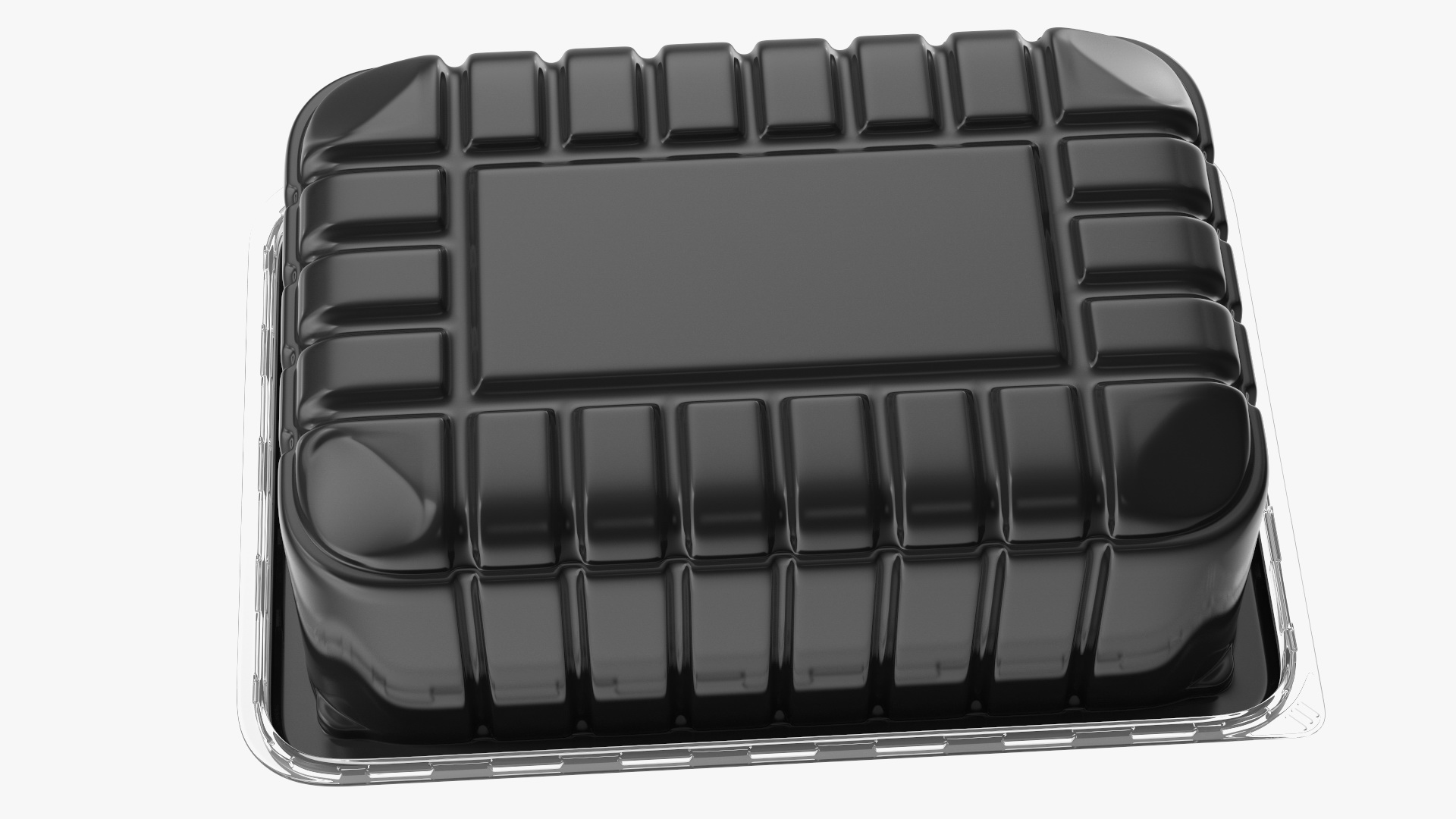 3D model Disposable Plastic Food Tray with Lid 21x15cm