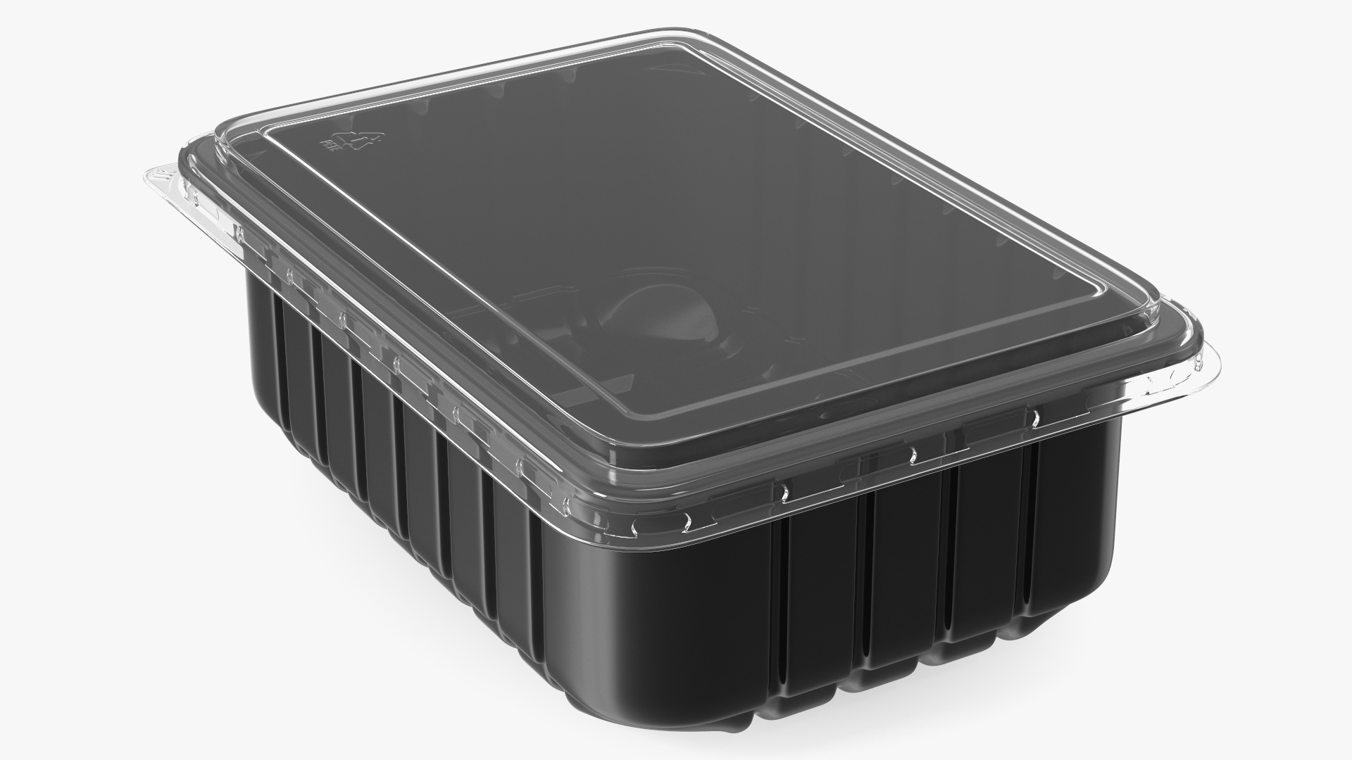 3D model Disposable Plastic Food Tray with Lid 21x15cm