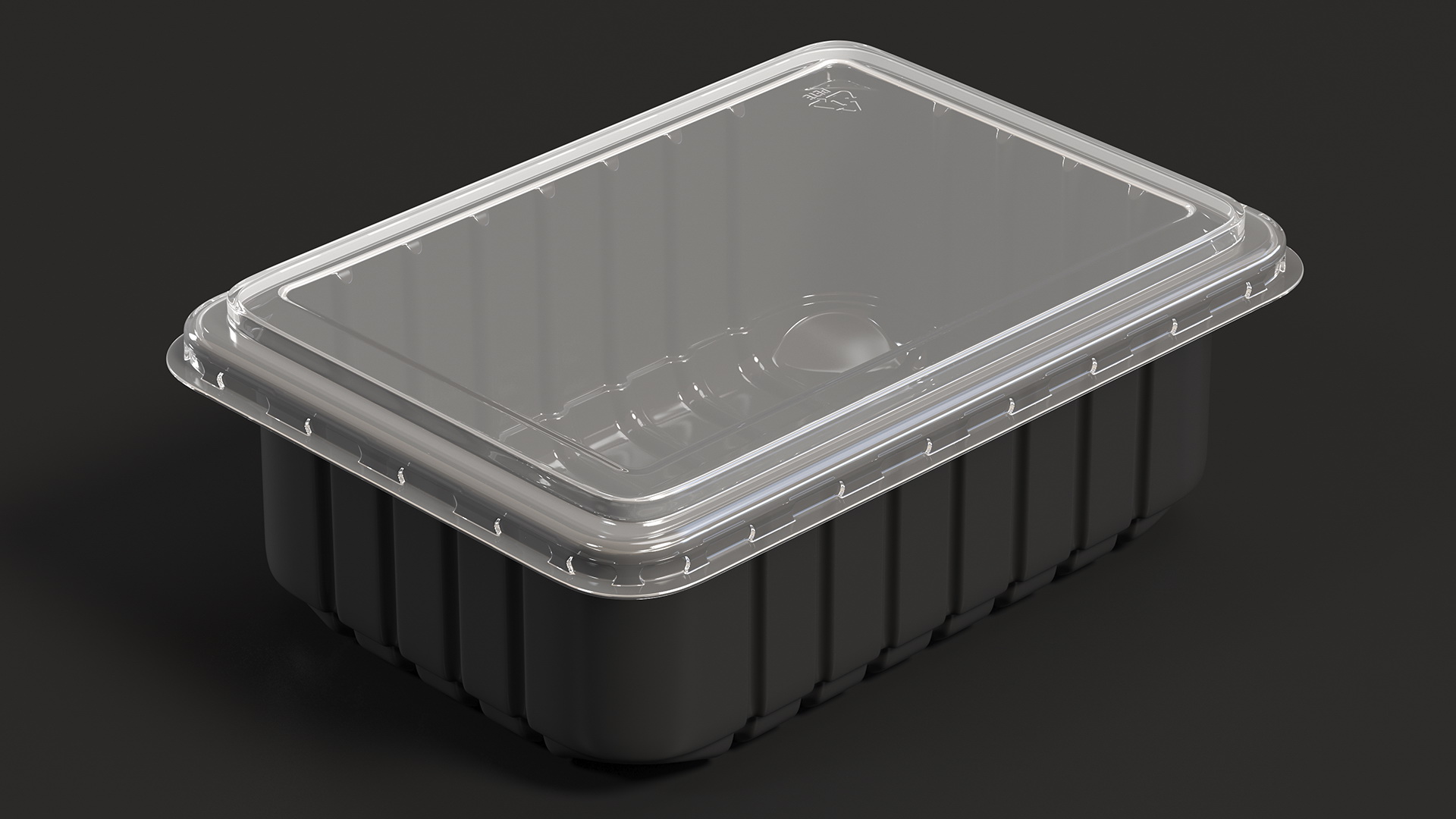 3D model Disposable Plastic Food Tray with Lid 21x15cm