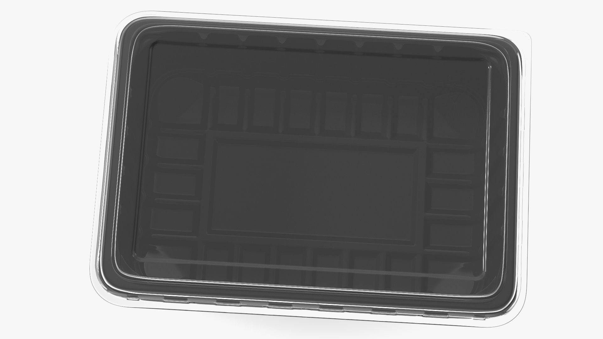 3D model Disposable Plastic Food Tray with Lid 21x15cm