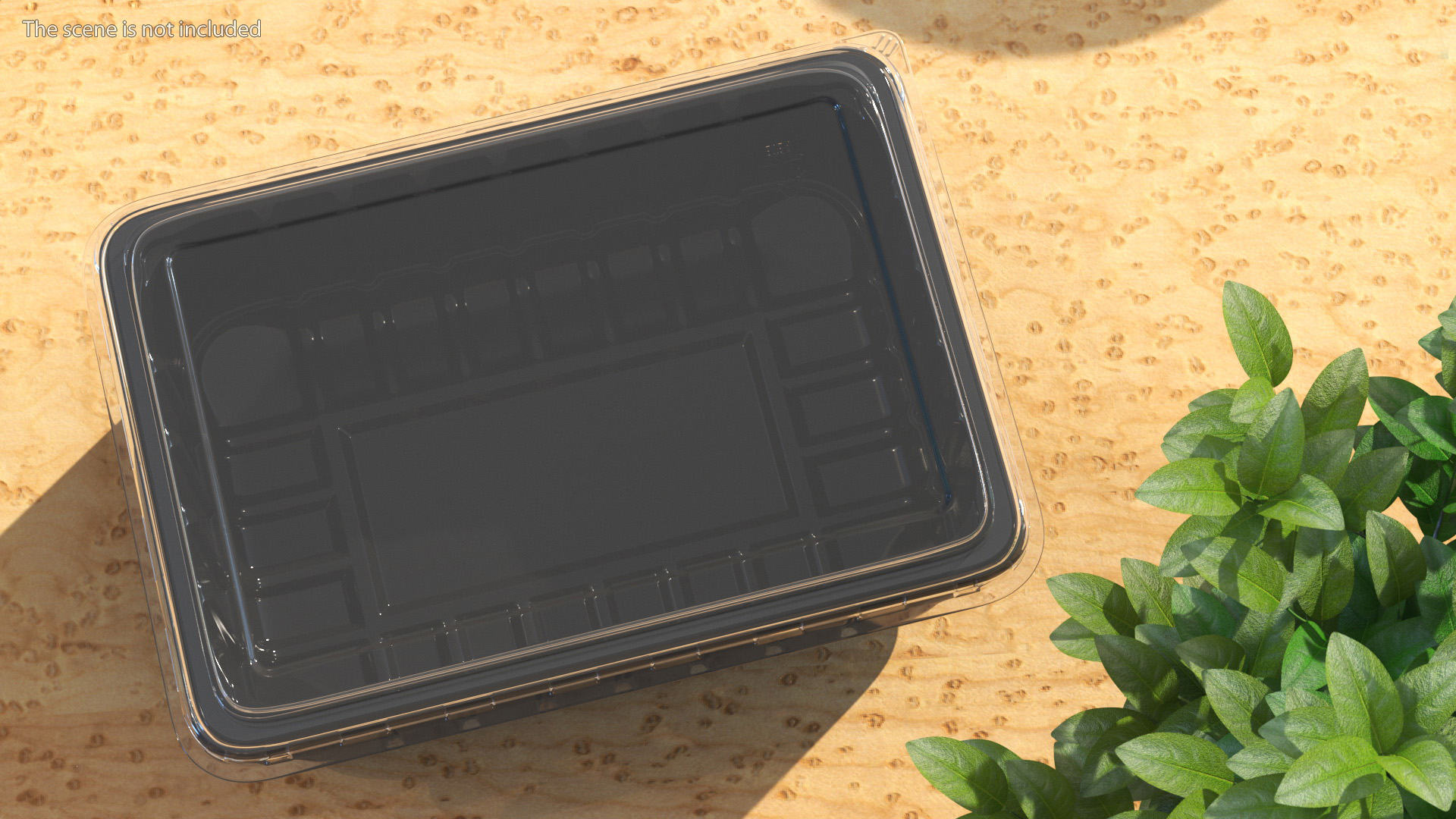 3D model Disposable Plastic Food Tray with Lid 21x15cm