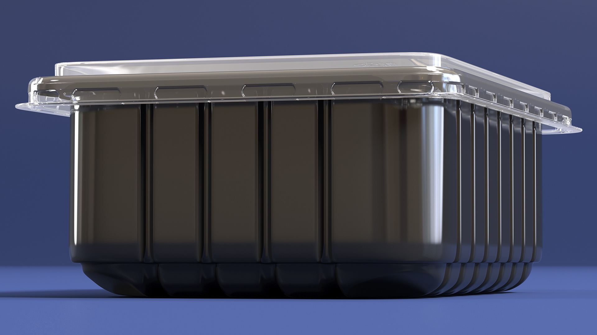 3D model Disposable Plastic Food Tray with Lid 21x15cm