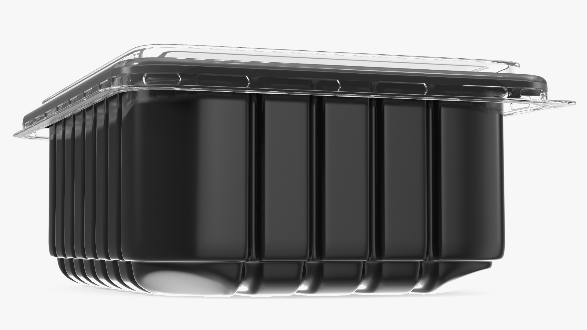 3D model Disposable Plastic Food Tray with Lid 21x15cm