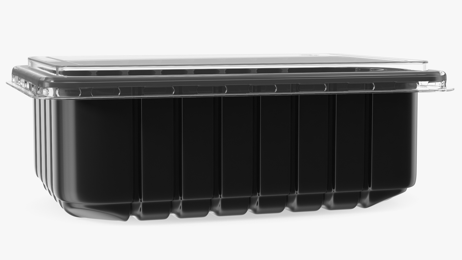 3D model Disposable Plastic Food Tray with Lid 21x15cm