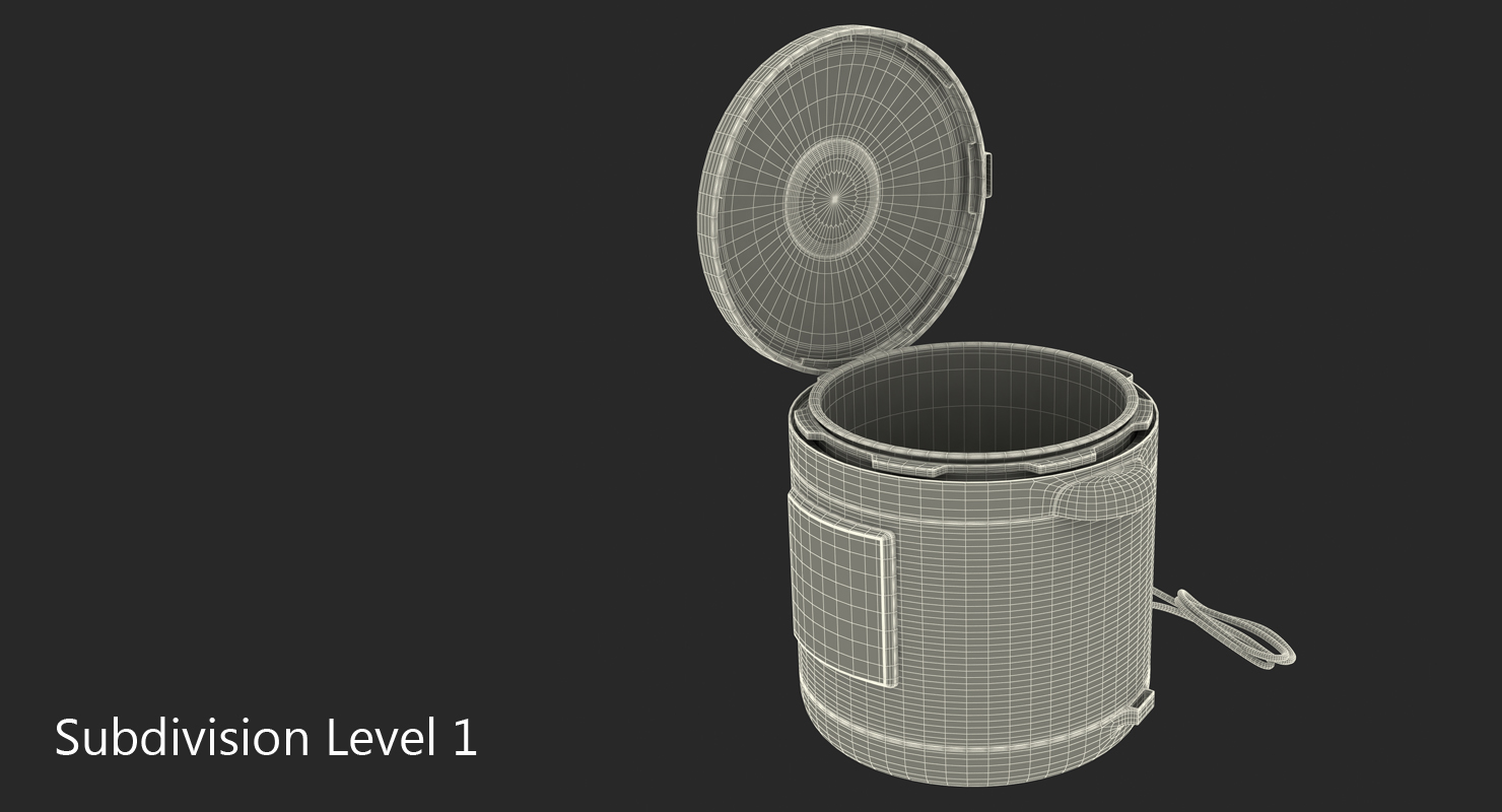 Electric Pressure Cooker 3D model