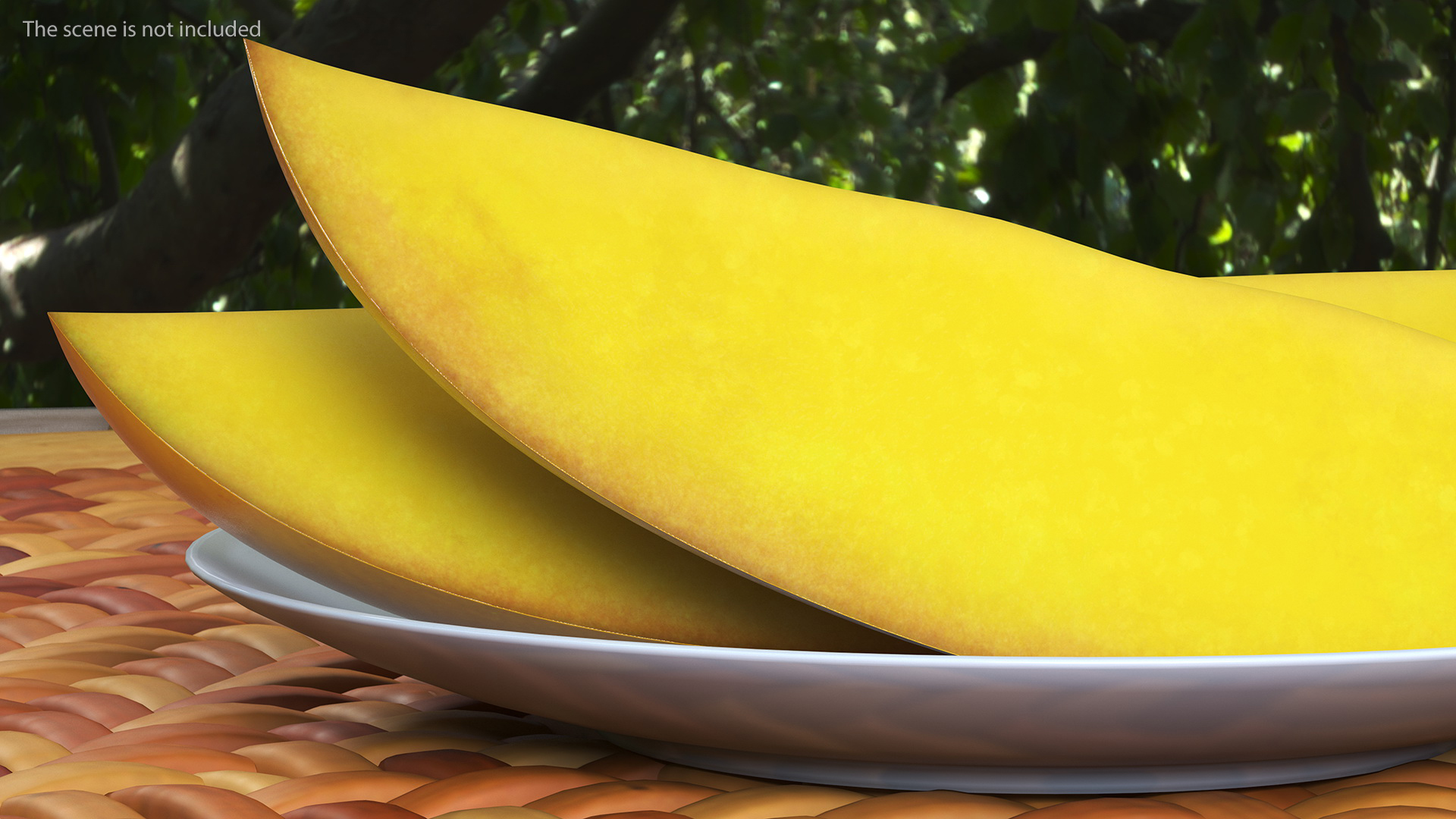 Yellow Mango Slices 3D model