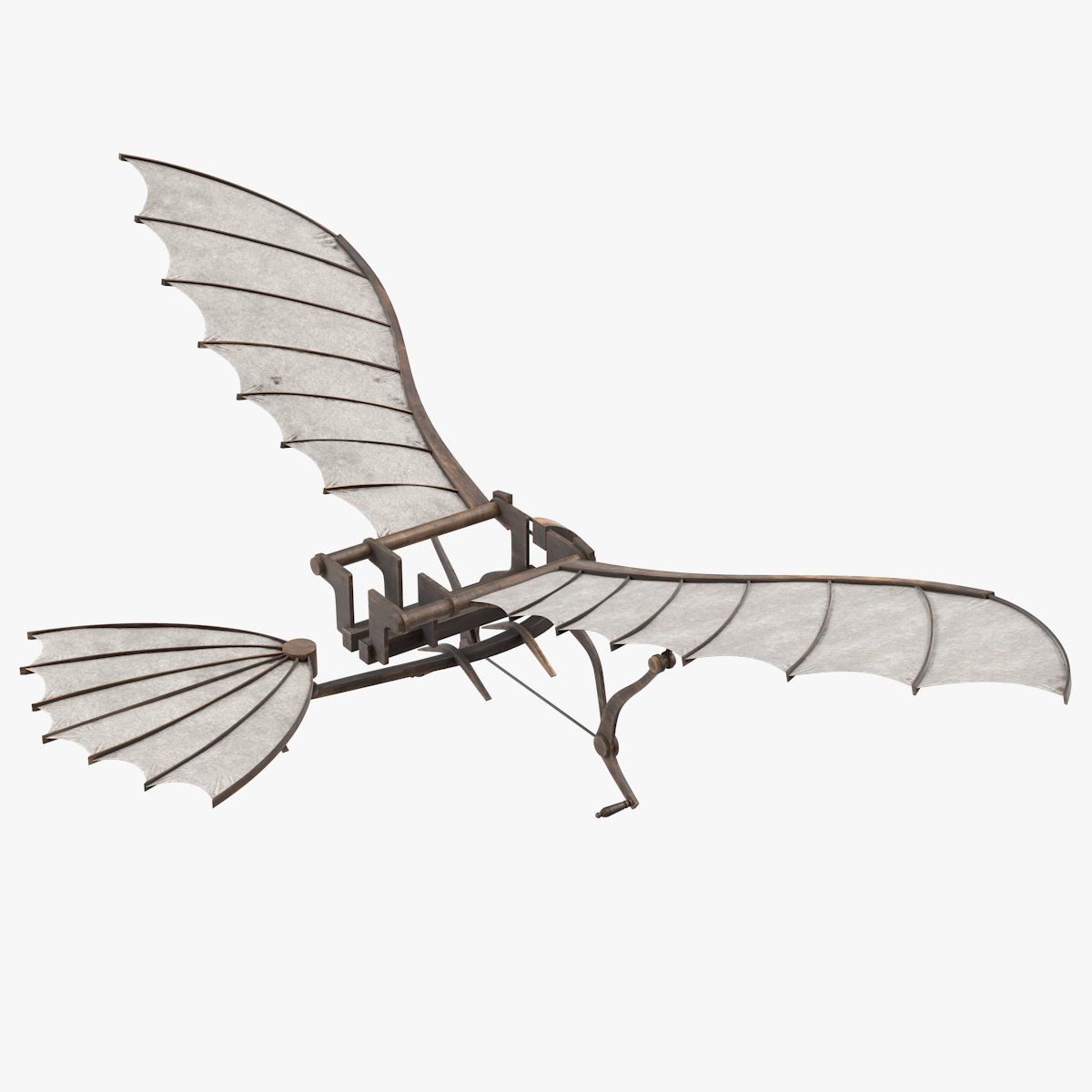 Leonardo da Vinci Glider, view 7