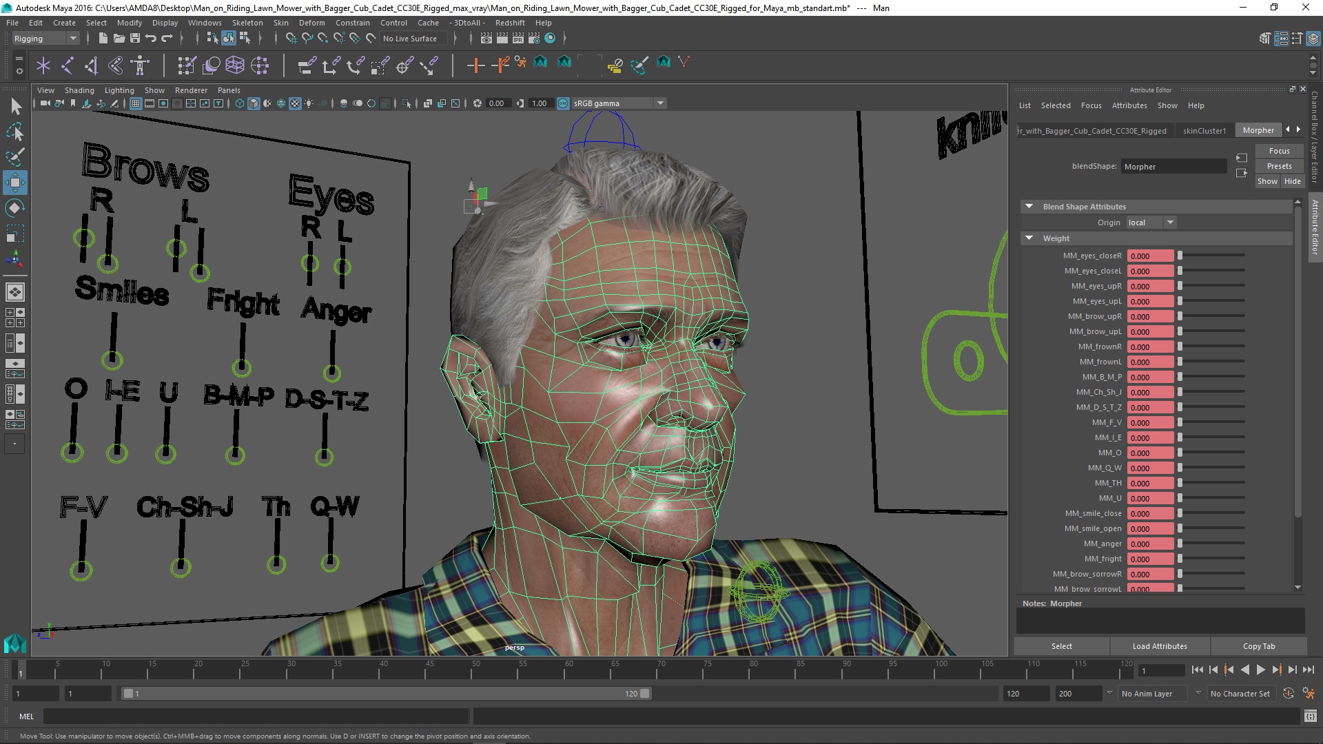 3D Man on Riding Lawn Mower with Bagger Cub Cadet CC30E Rigged for Maya model