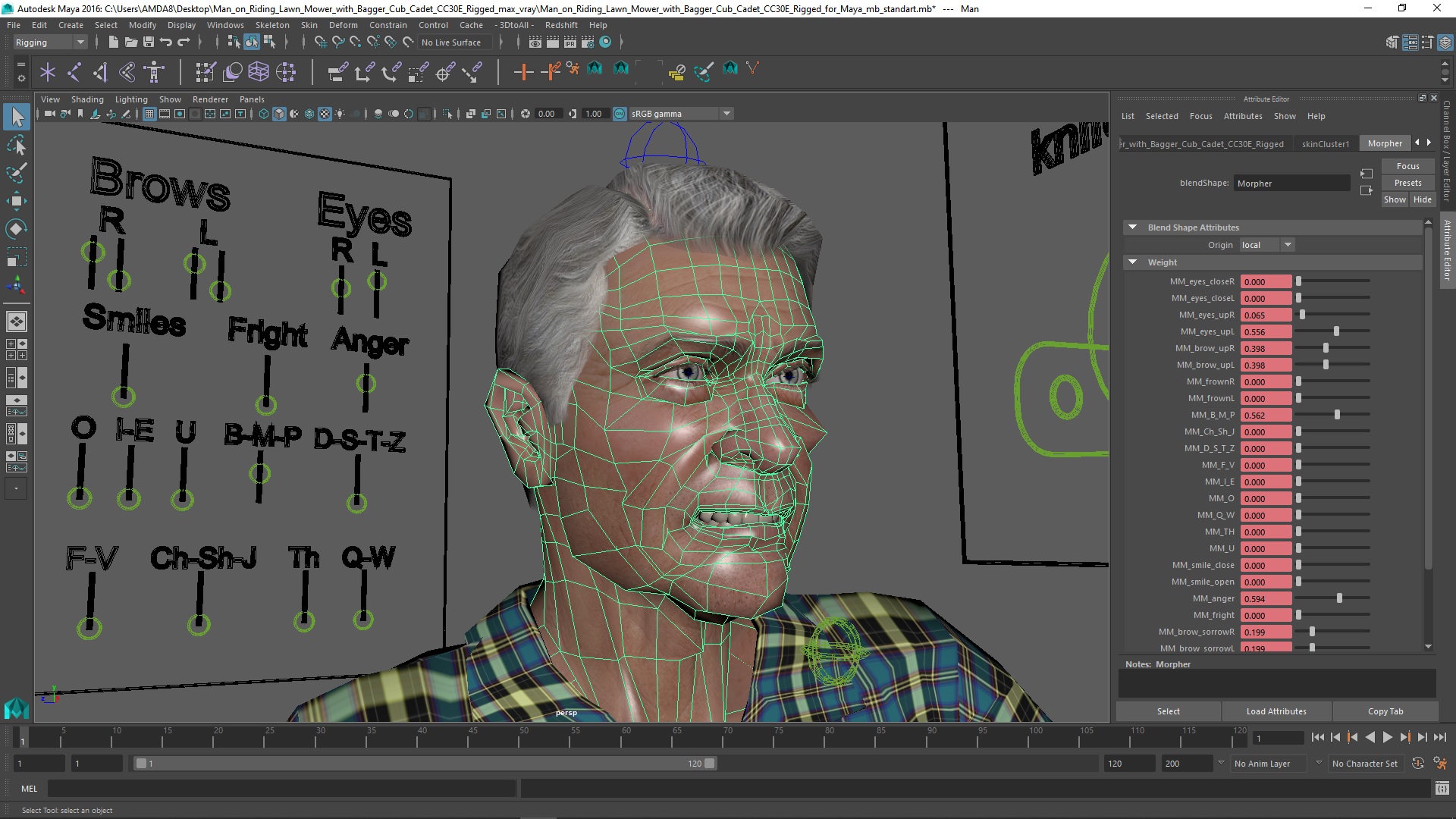3D Man on Riding Lawn Mower with Bagger Cub Cadet CC30E Rigged for Maya model